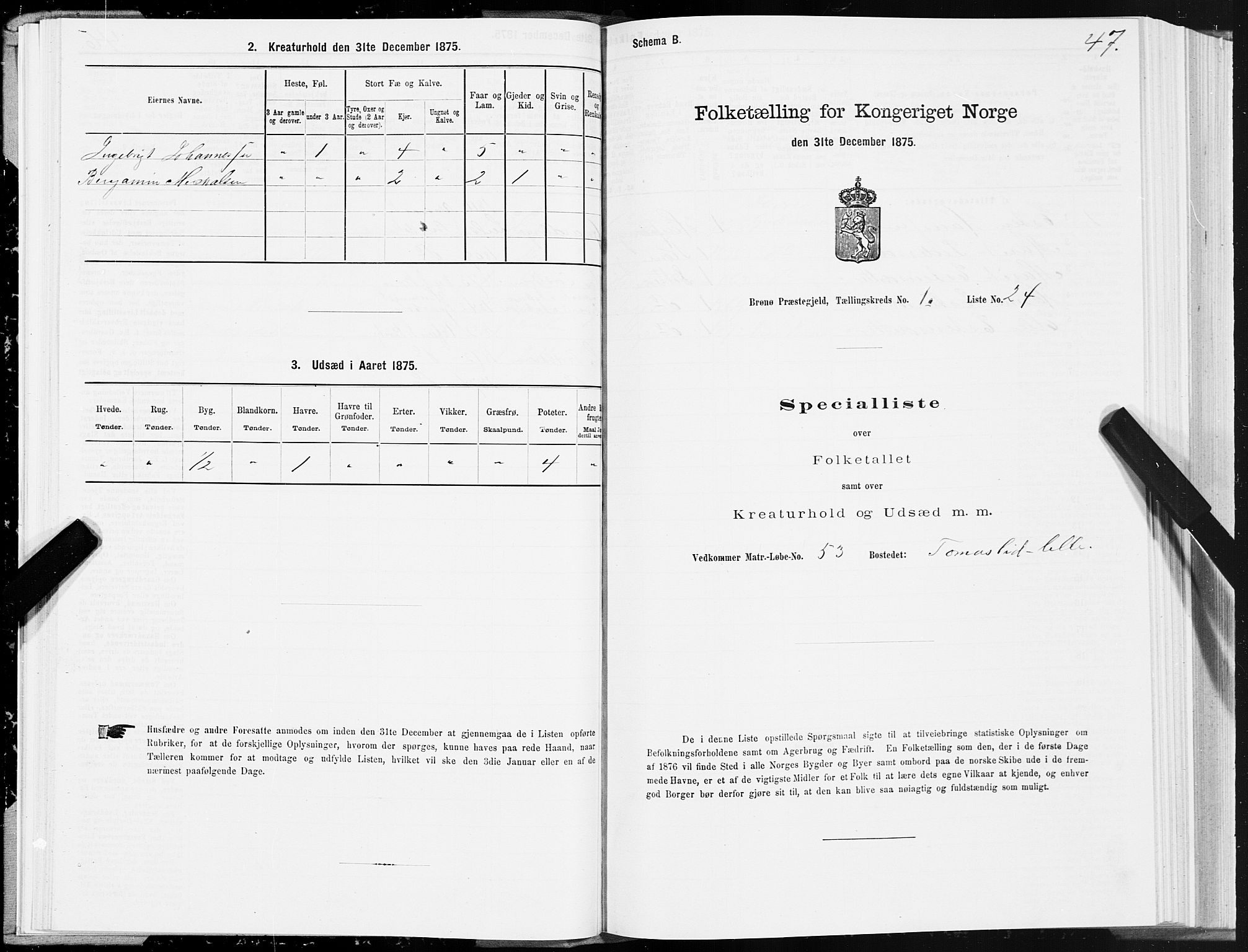 SAT, 1875 census for 1814P Brønnøy, 1875, p. 1047