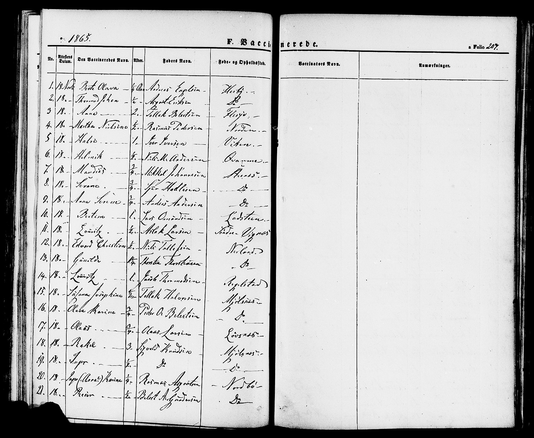 Finnøy sokneprestkontor, SAST/A-101825/H/Ha/Haa/L0008: Parish register (official) no. A 8, 1863-1878, p. 207