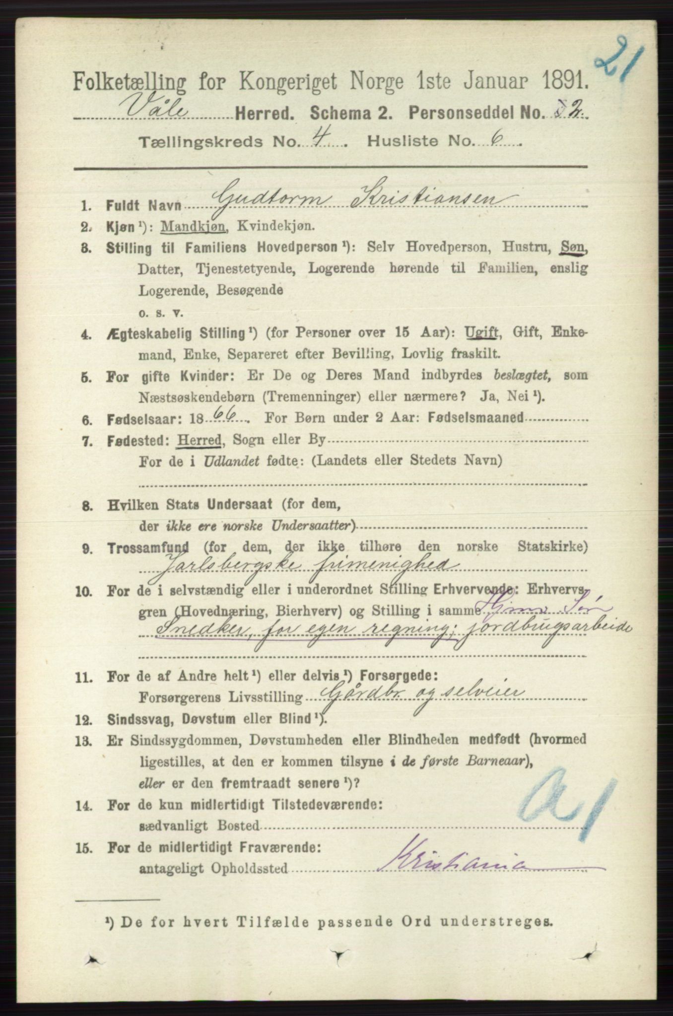 RA, 1891 census for 0716 Våle, 1891, p. 1013