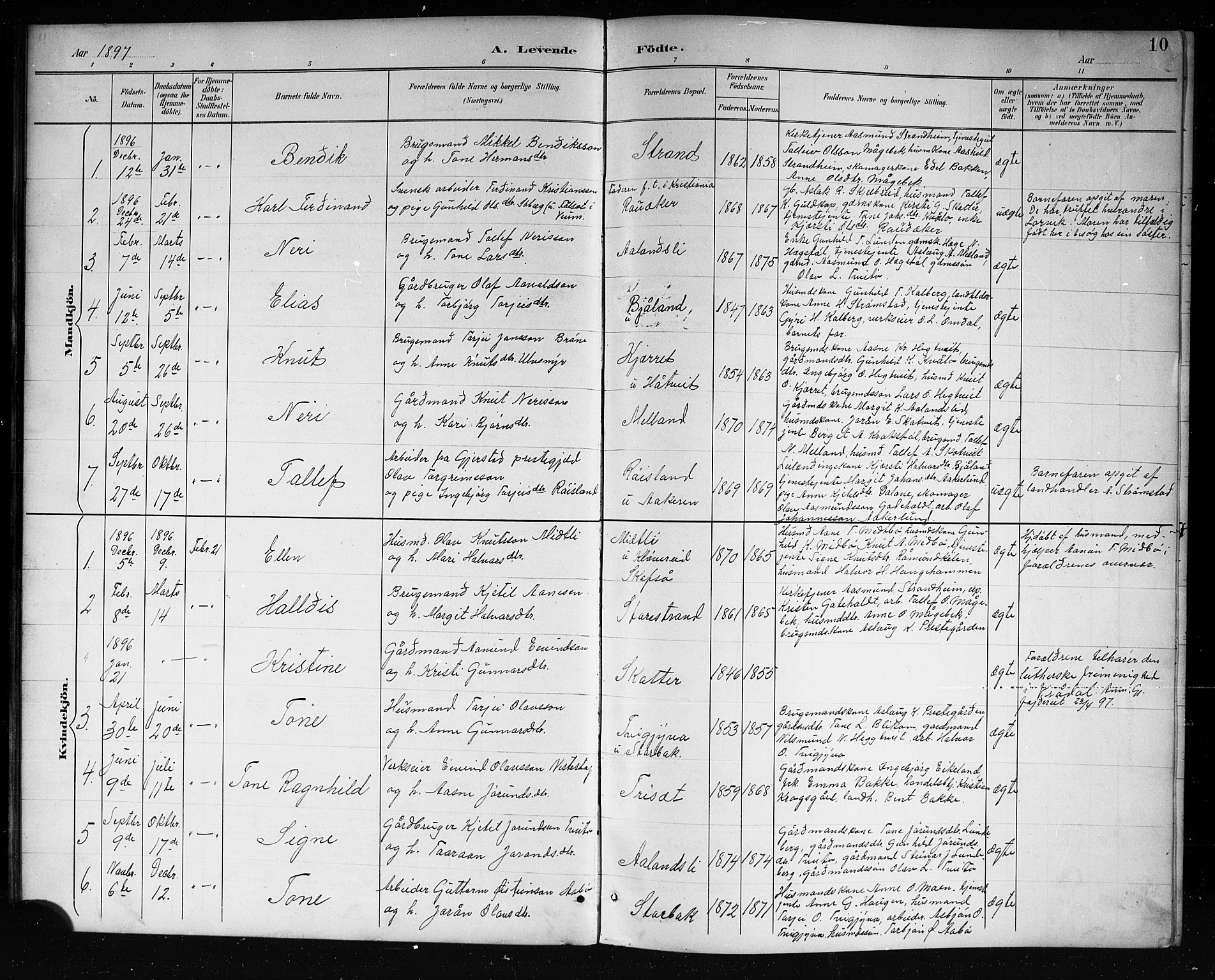 Lårdal kirkebøker, SAKO/A-284/G/Ga/L0003: Parish register (copy) no. I 3, 1891-1918, p. 10