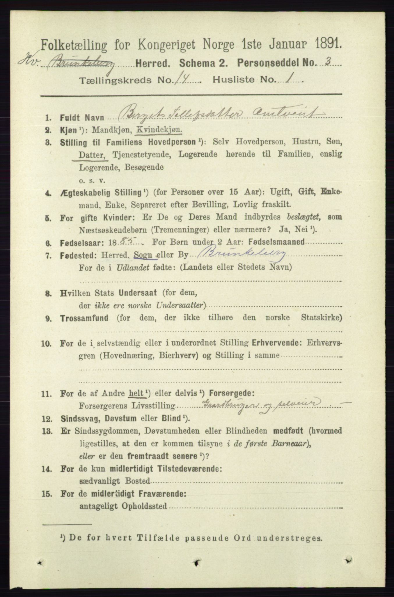 RA, 1891 census for 0829 Kviteseid, 1891, p. 3350