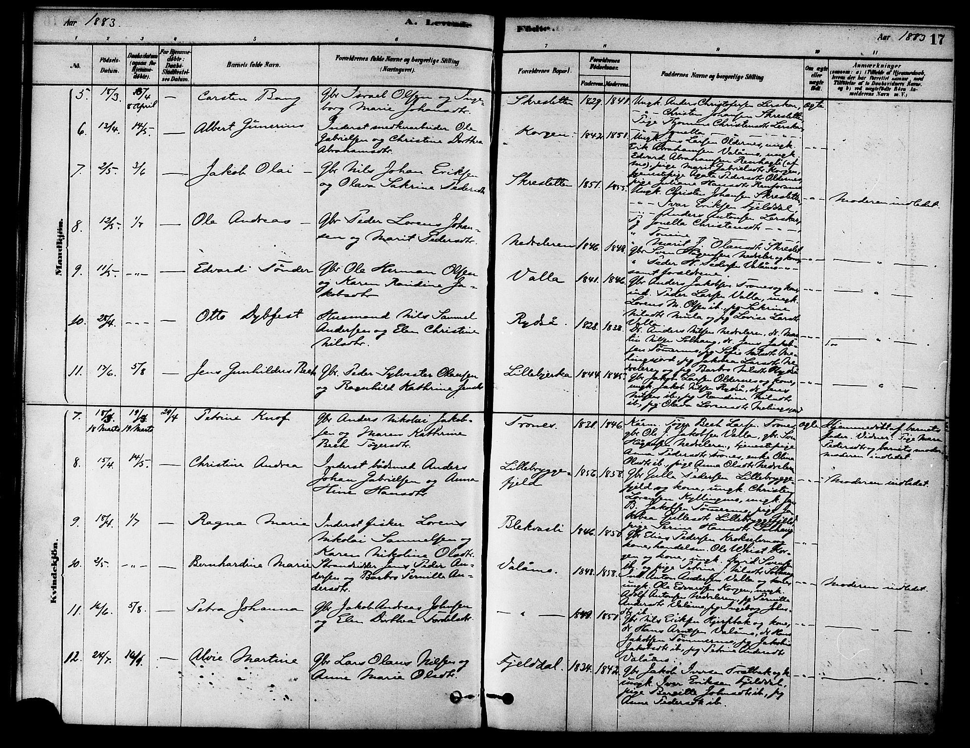 Ministerialprotokoller, klokkerbøker og fødselsregistre - Nordland, AV/SAT-A-1459/826/L0379: Parish register (official) no. 826A02, 1878-1895, p. 17