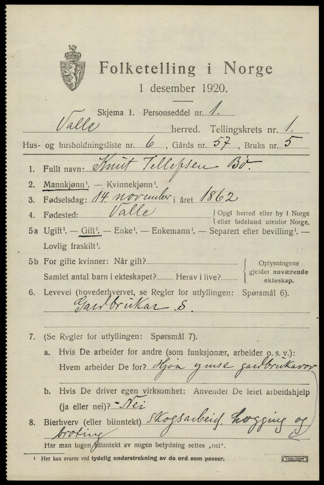 SAK, 1920 census for Valle, 1920, p. 501