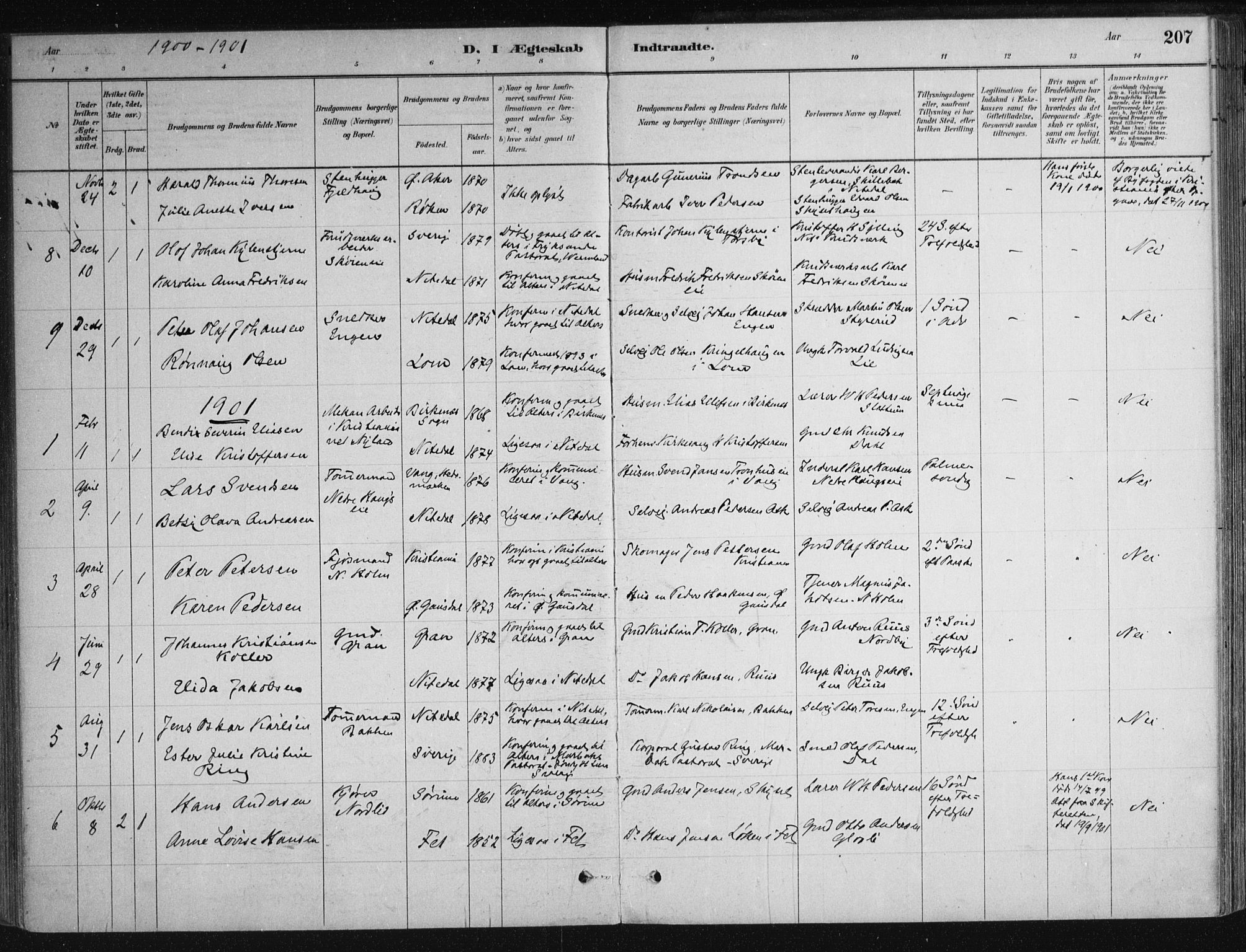 Nittedal prestekontor Kirkebøker, SAO/A-10365a/F/Fa/L0007: Parish register (official) no. I 7, 1879-1901, p. 207
