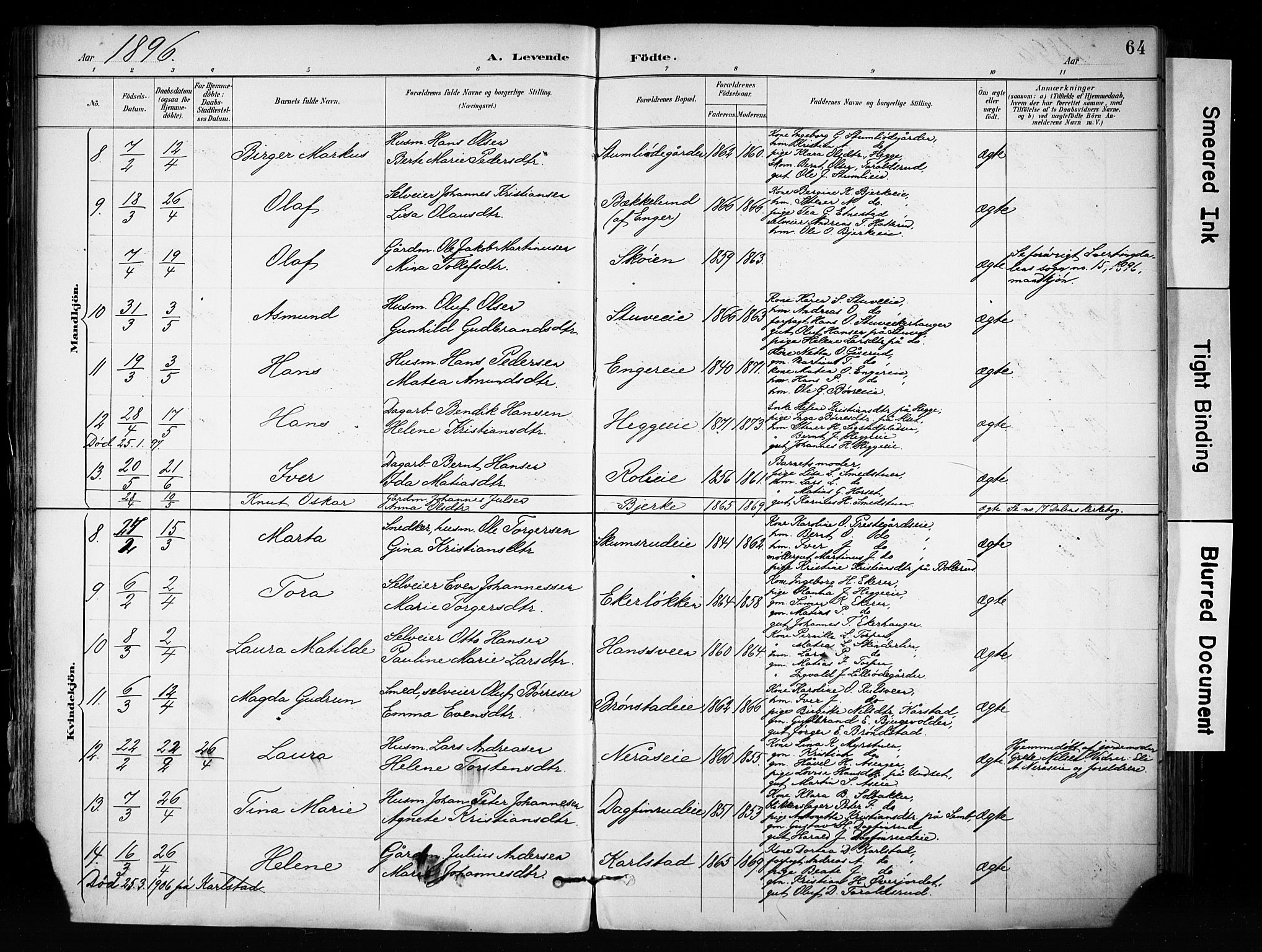 Biri prestekontor, AV/SAH-PREST-096/H/Ha/Haa/L0009: Parish register (official) no. 9, 1887-1900, p. 64