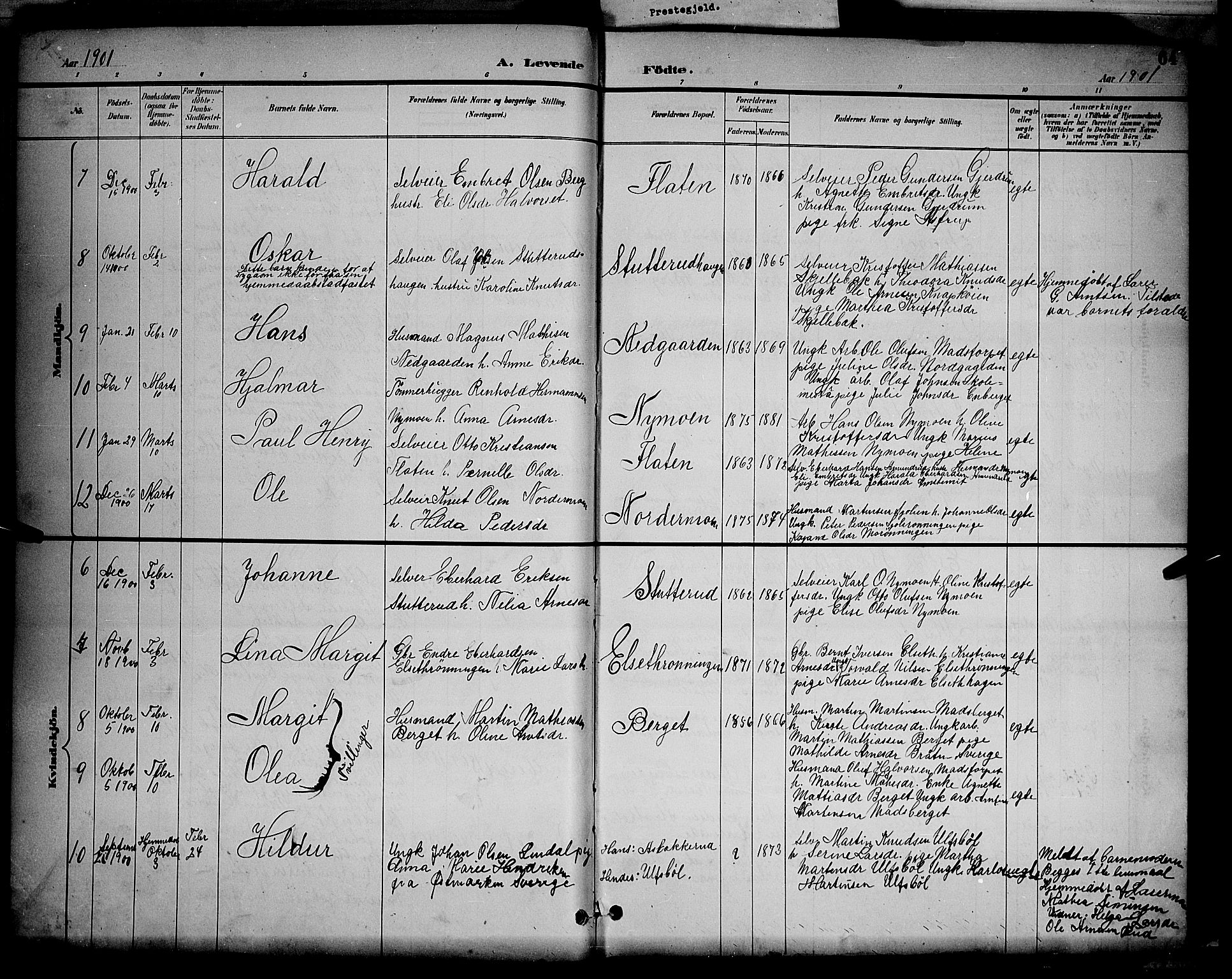 Våler prestekontor, Hedmark, AV/SAH-PREST-040/H/Ha/Hab/L0001: Parish register (copy) no. 1, 1894-1904, p. 64