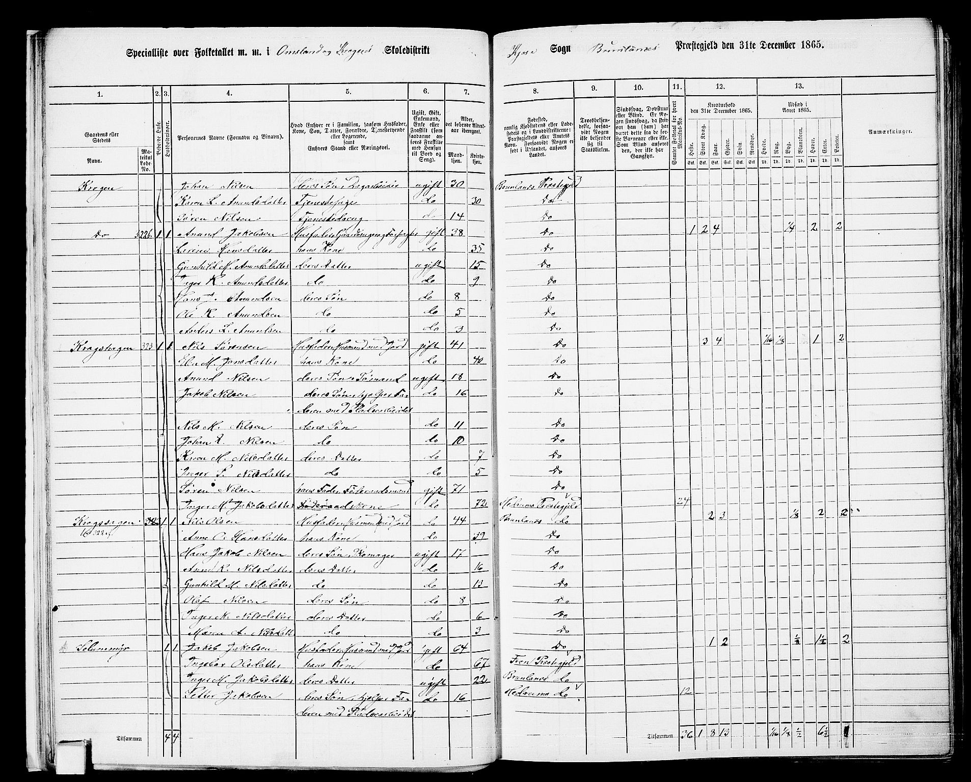 RA, 1865 census for Brunlanes, 1865, p. 21