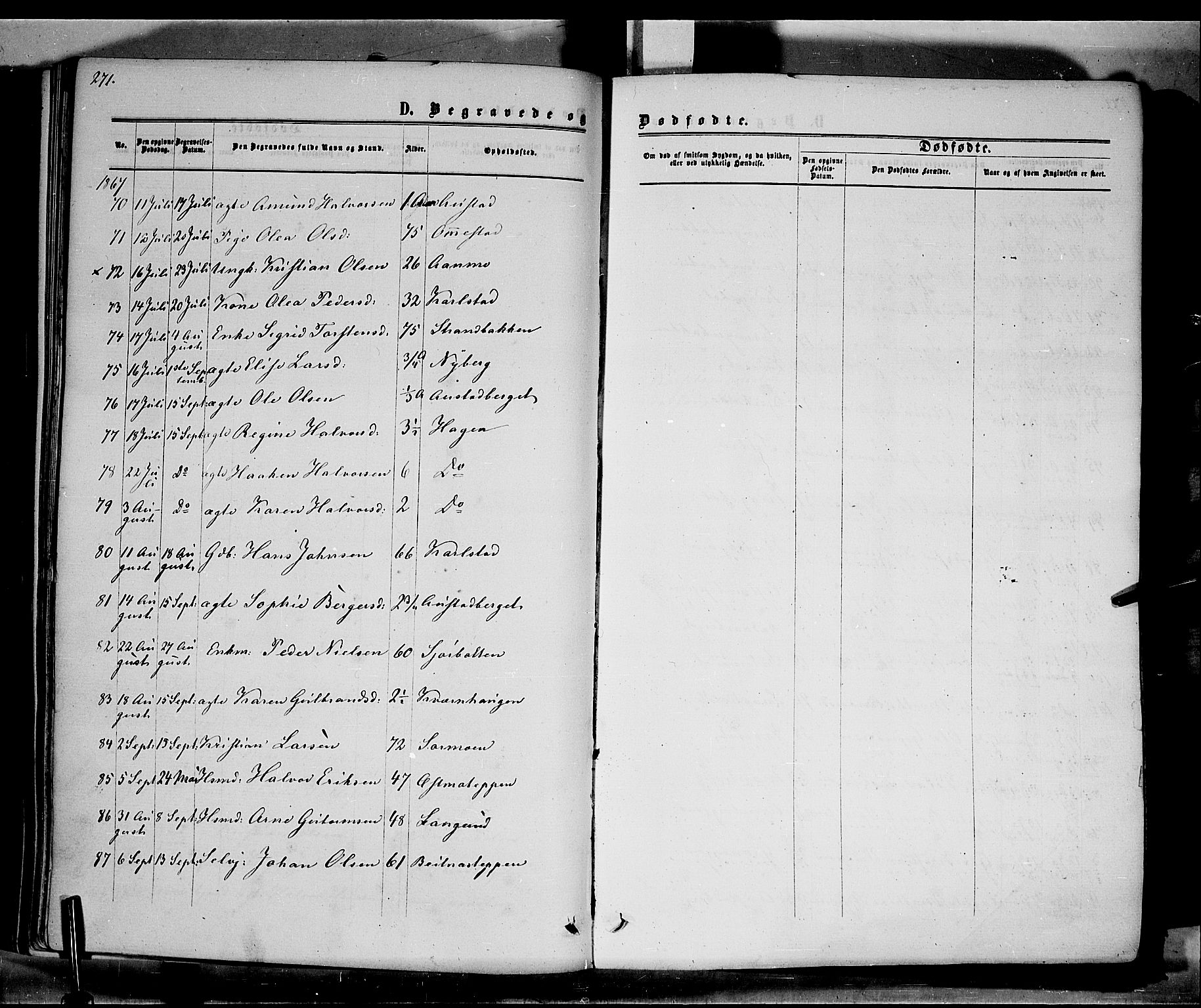 Hof prestekontor, SAH/PREST-038/H/Ha/Haa/L0009: Parish register (official) no. 9, 1862-1877, p. 271