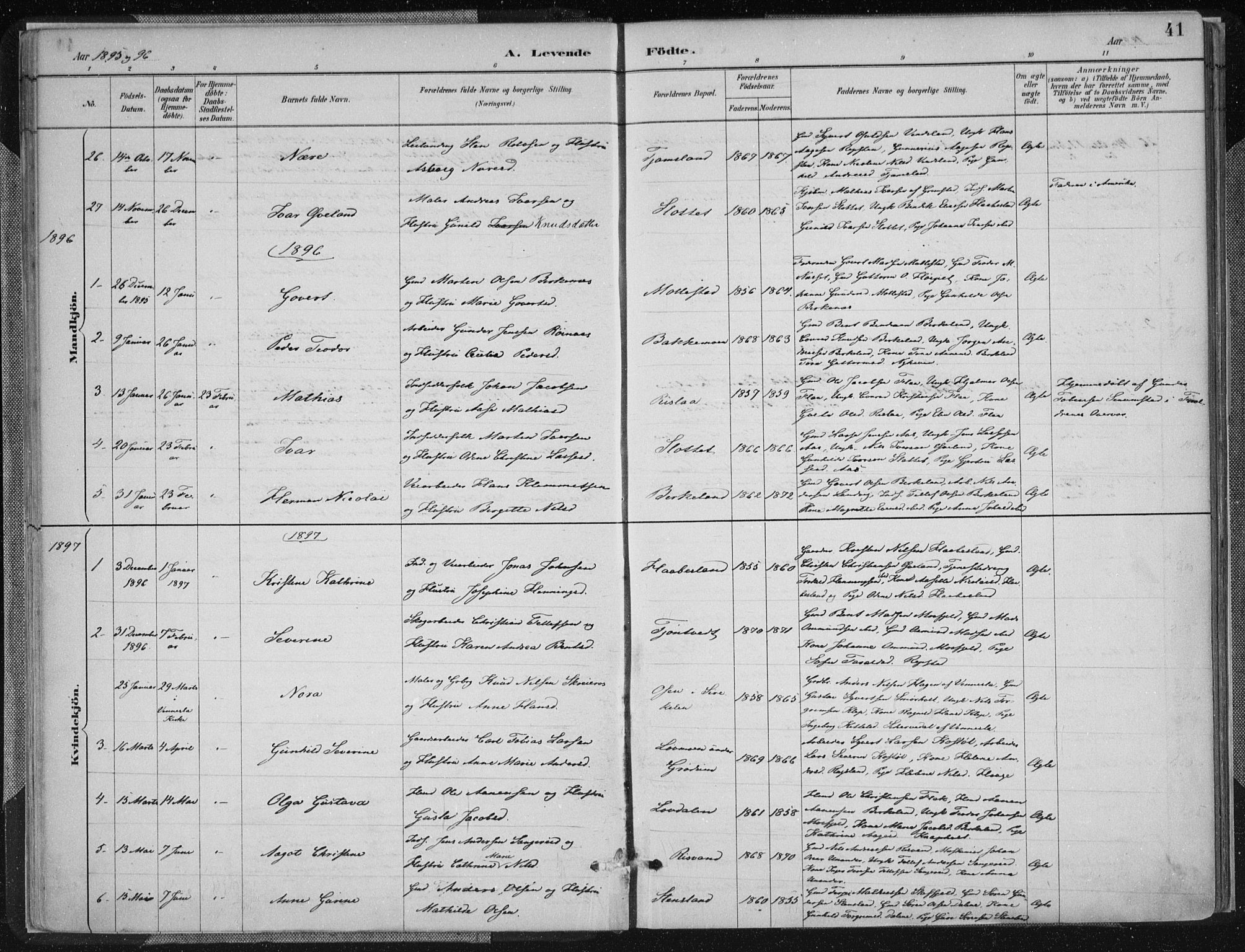 Birkenes sokneprestkontor, SAK/1111-0004/F/Fa/L0005: Parish register (official) no. A 5, 1887-1907, p. 41