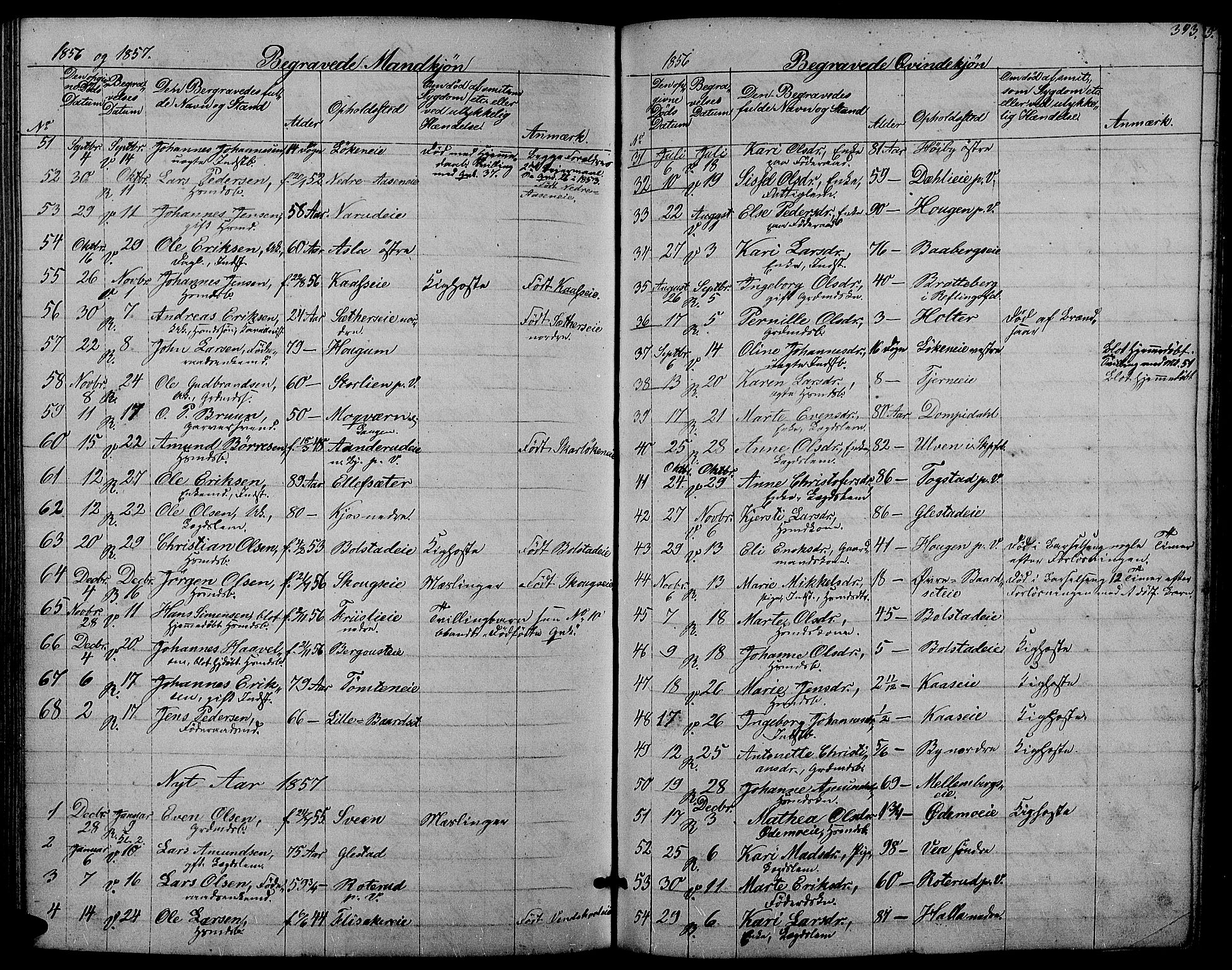 Ringsaker prestekontor, AV/SAH-PREST-014/L/La/L0006: Parish register (copy) no. 6, 1851-1860, p. 393