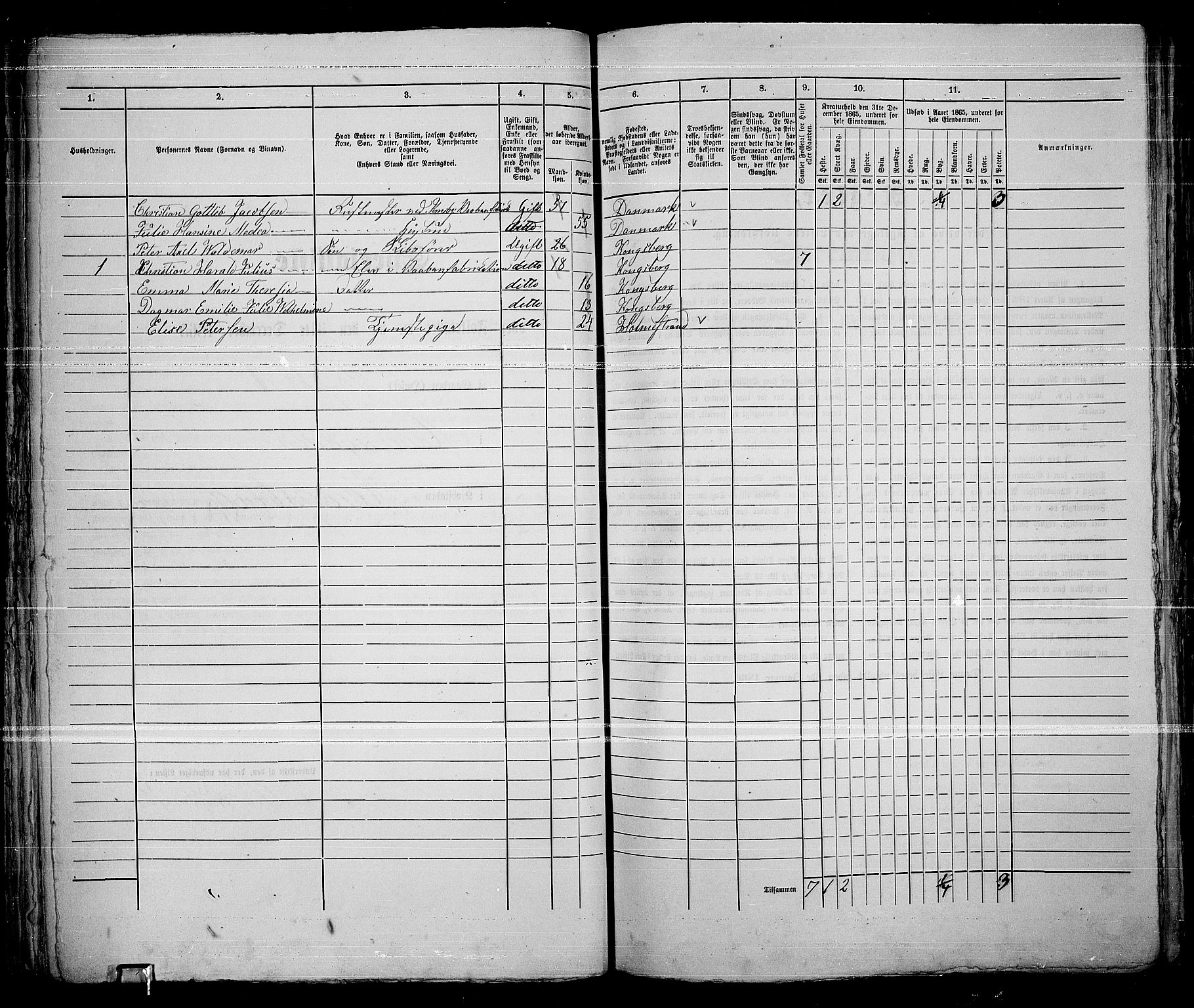 RA, 1865 census for Kongsberg/Kongsberg, 1865, p. 96