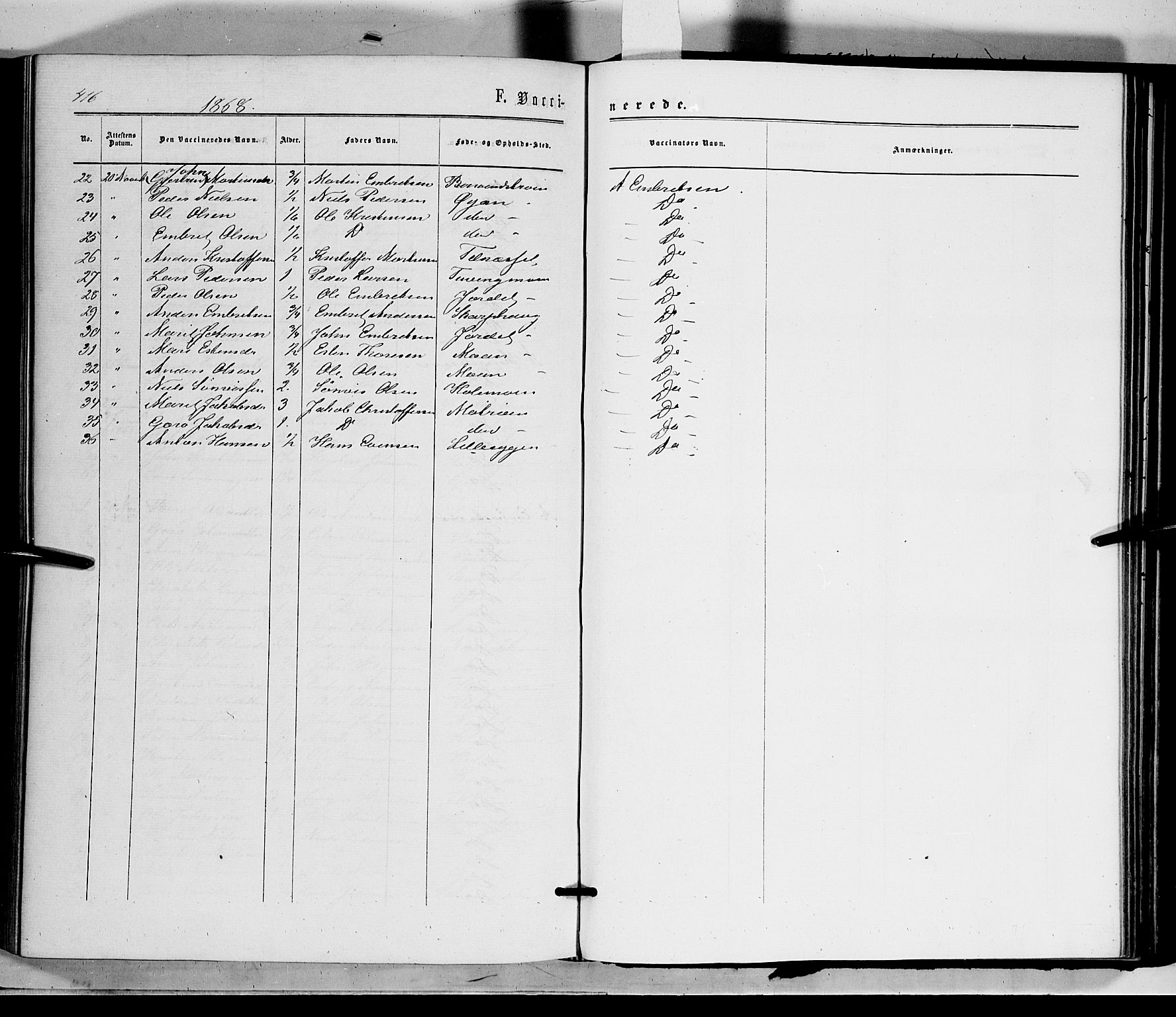 Tynset prestekontor, AV/SAH-PREST-058/H/Ha/Haa/L0021: Parish register (official) no. 21, 1863-1879, p. 416