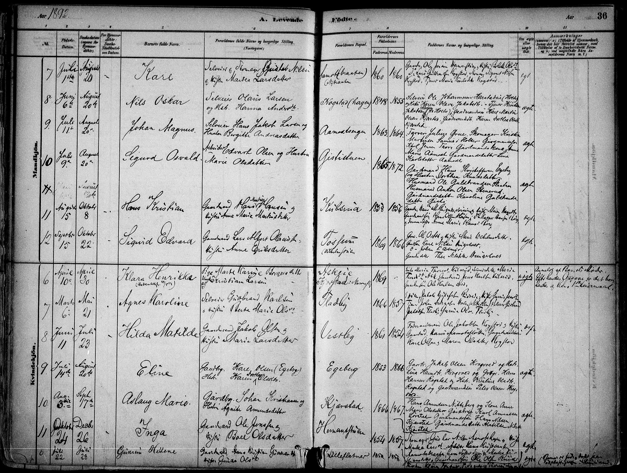 Gjerdrum prestekontor Kirkebøker, SAO/A-10412b/F/Fb/L0001: Parish register (official) no. II 1, 1881-1921, p. 36