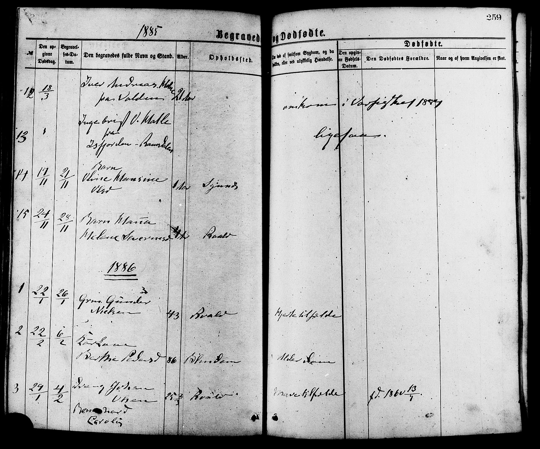 Ministerialprotokoller, klokkerbøker og fødselsregistre - Møre og Romsdal, SAT/A-1454/537/L0519: Parish register (official) no. 537A03, 1876-1889, p. 259