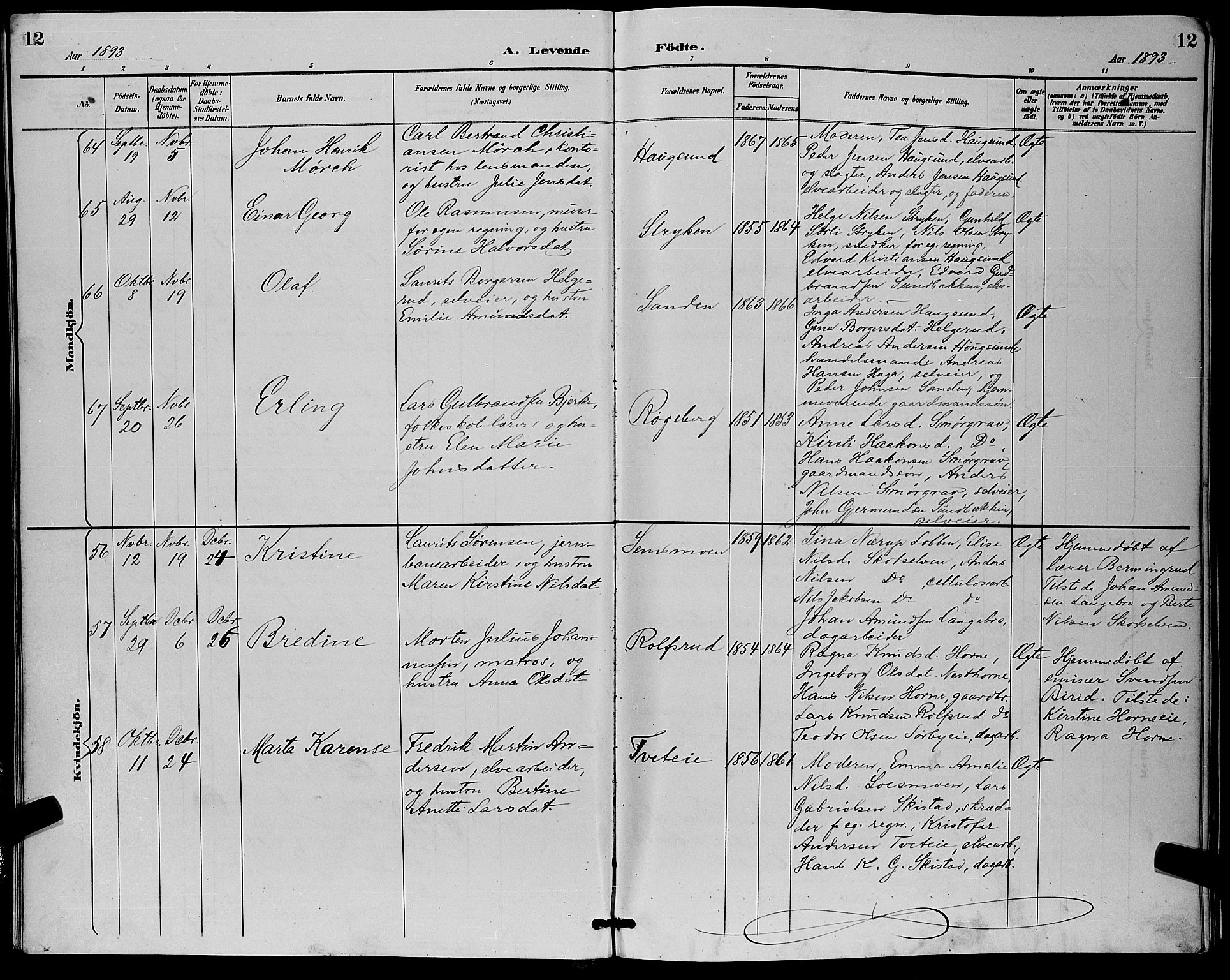 Eiker kirkebøker, AV/SAKO-A-4/G/Ga/L0007: Parish register (copy) no. I 7, 1893-1902, p. 12