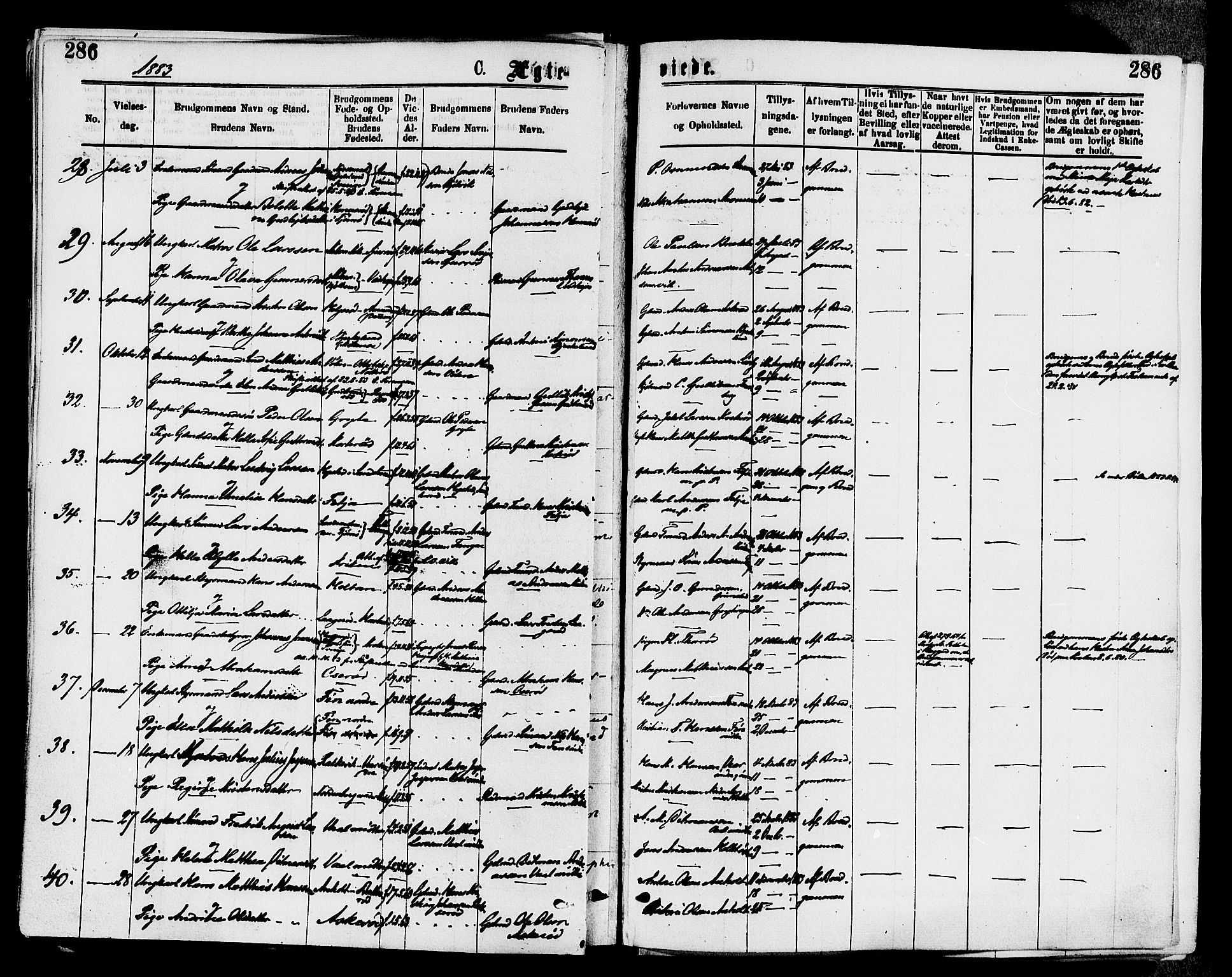 Stokke kirkebøker, AV/SAKO-A-320/F/Fa/L0009: Parish register (official) no. I 9, 1872-1883, p. 286