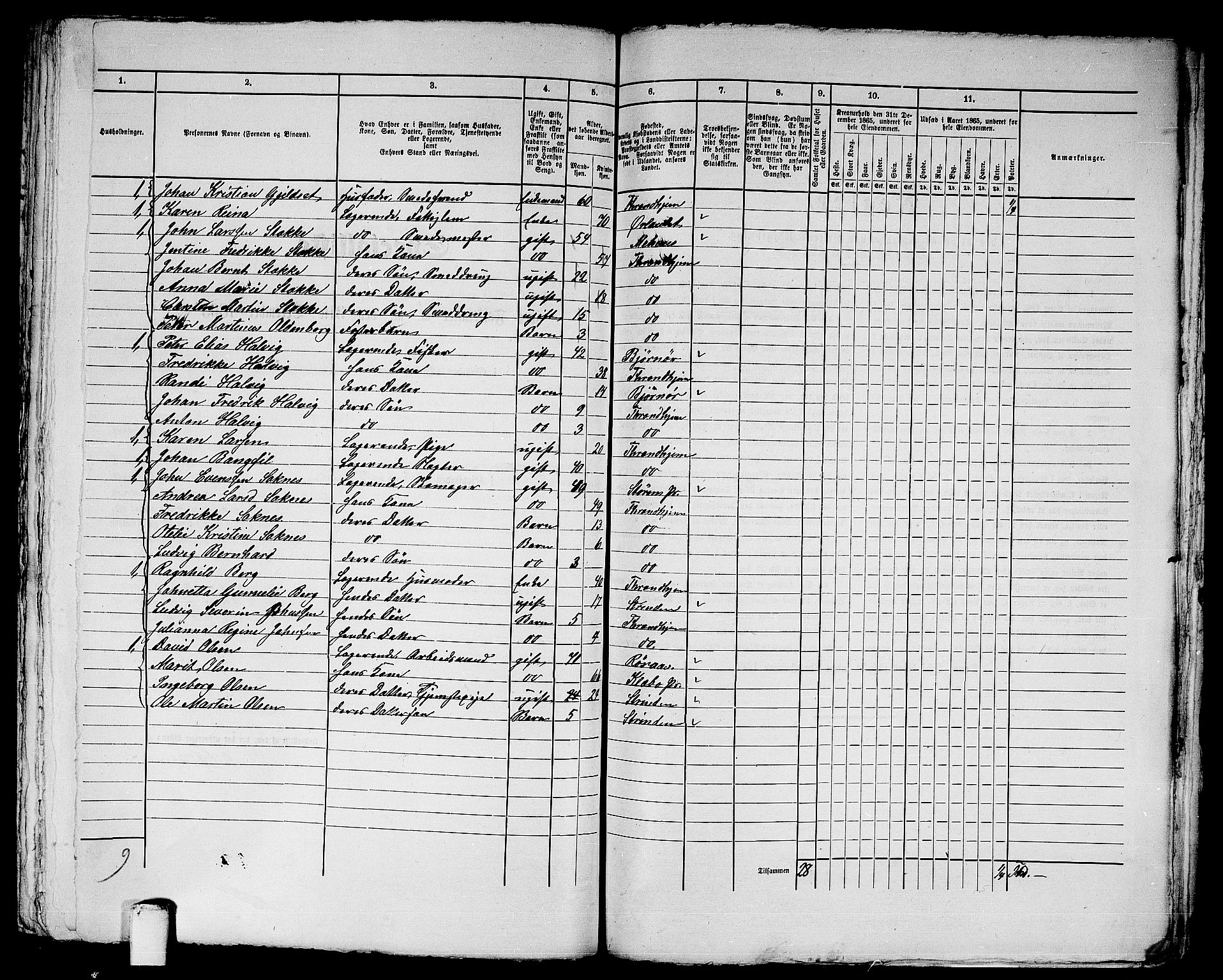 RA, 1865 census for Trondheim, 1865, p. 3037