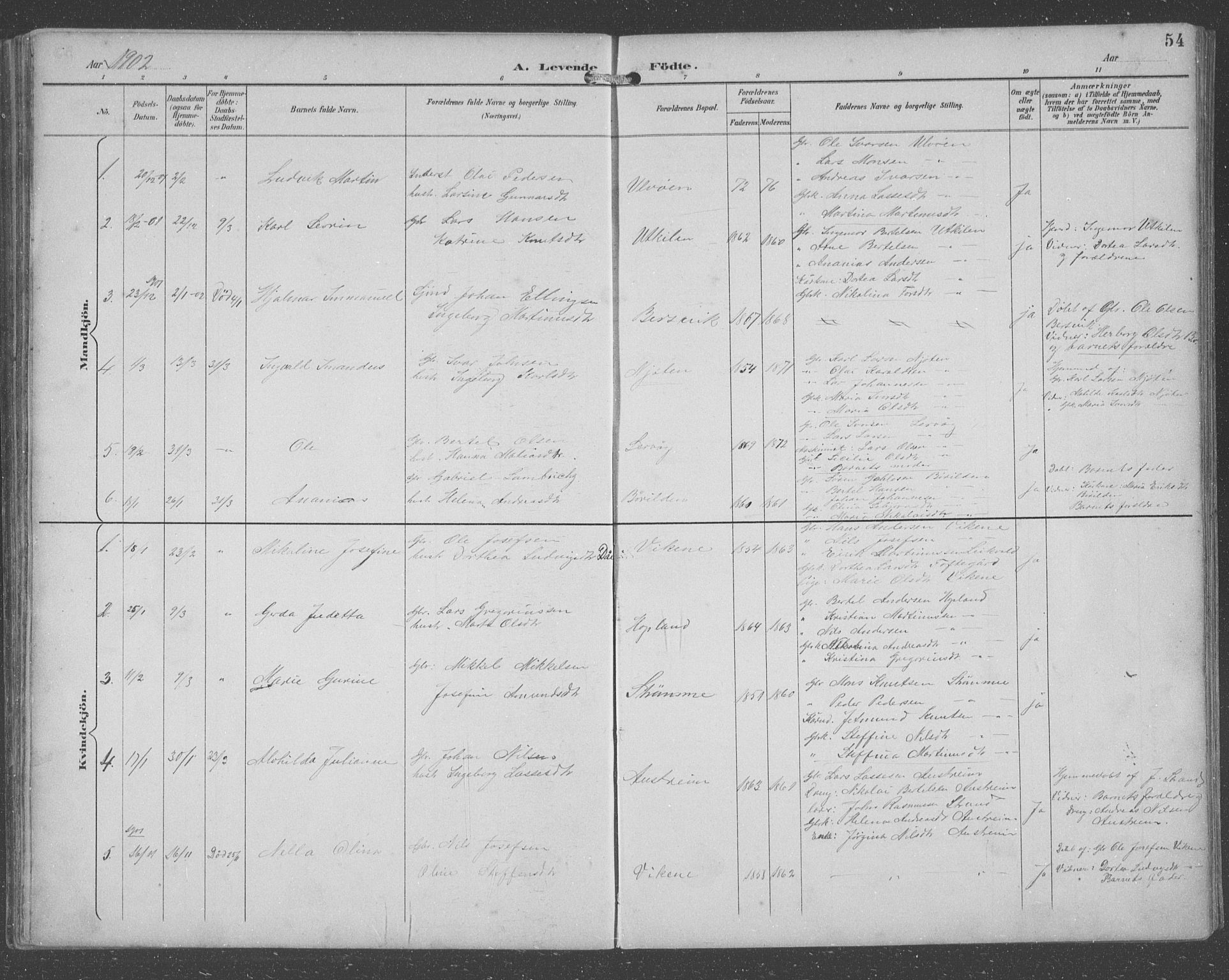 Lindås Sokneprestembete, AV/SAB-A-76701/H/Hab/Habc/L0004: Parish register (copy) no. C 4, 1894-1910, p. 54