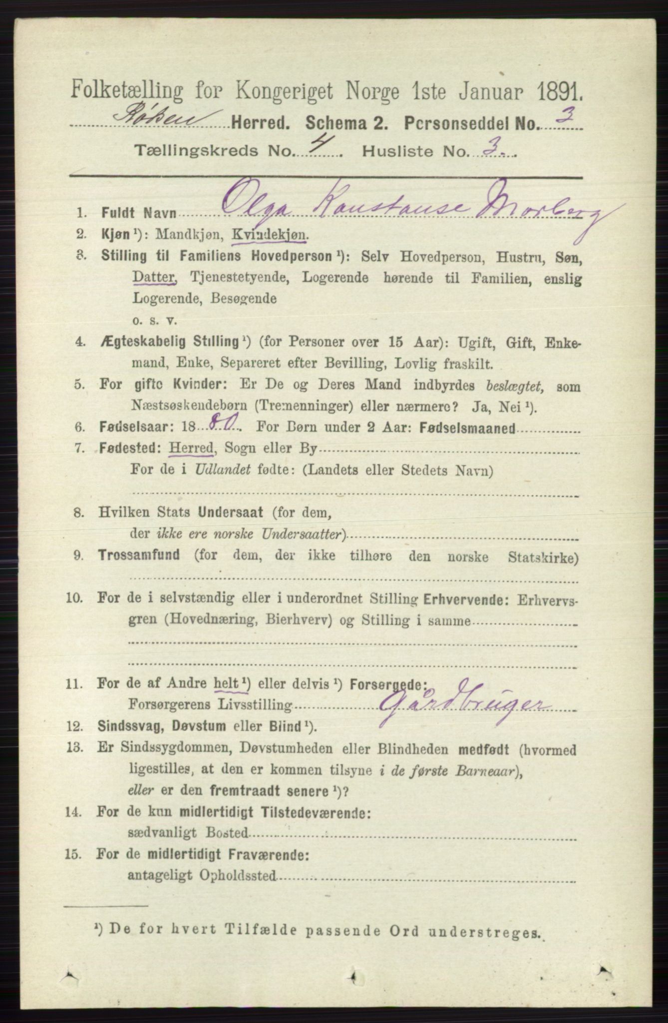 RA, 1891 census for 0627 Røyken, 1891, p. 1871