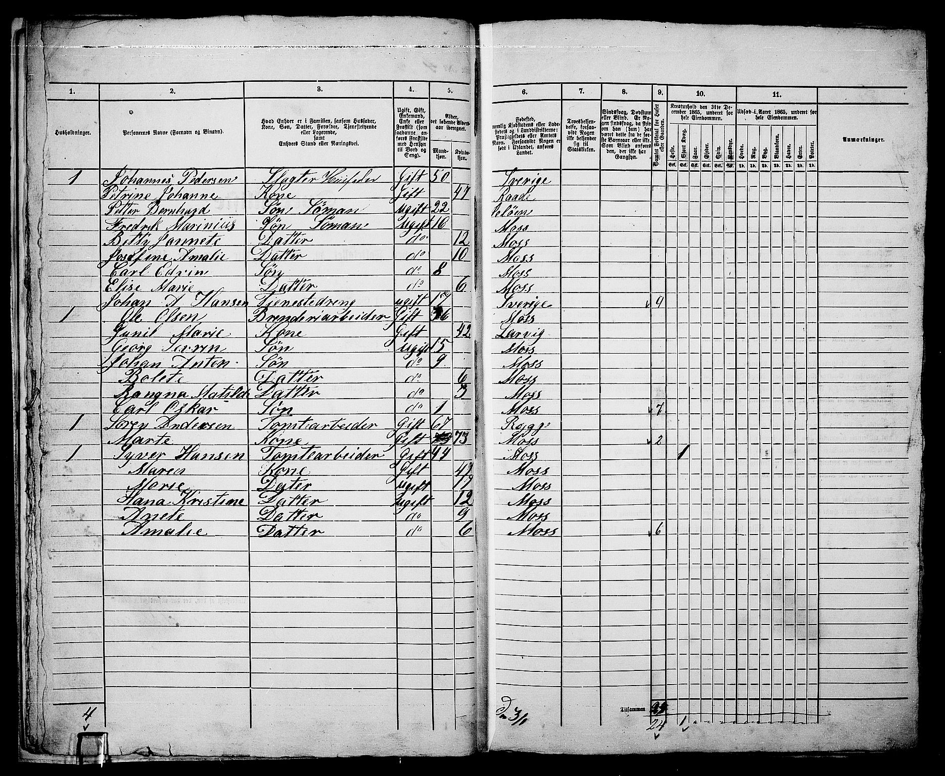 RA, 1865 census for Moss/Moss, 1865, p. 17