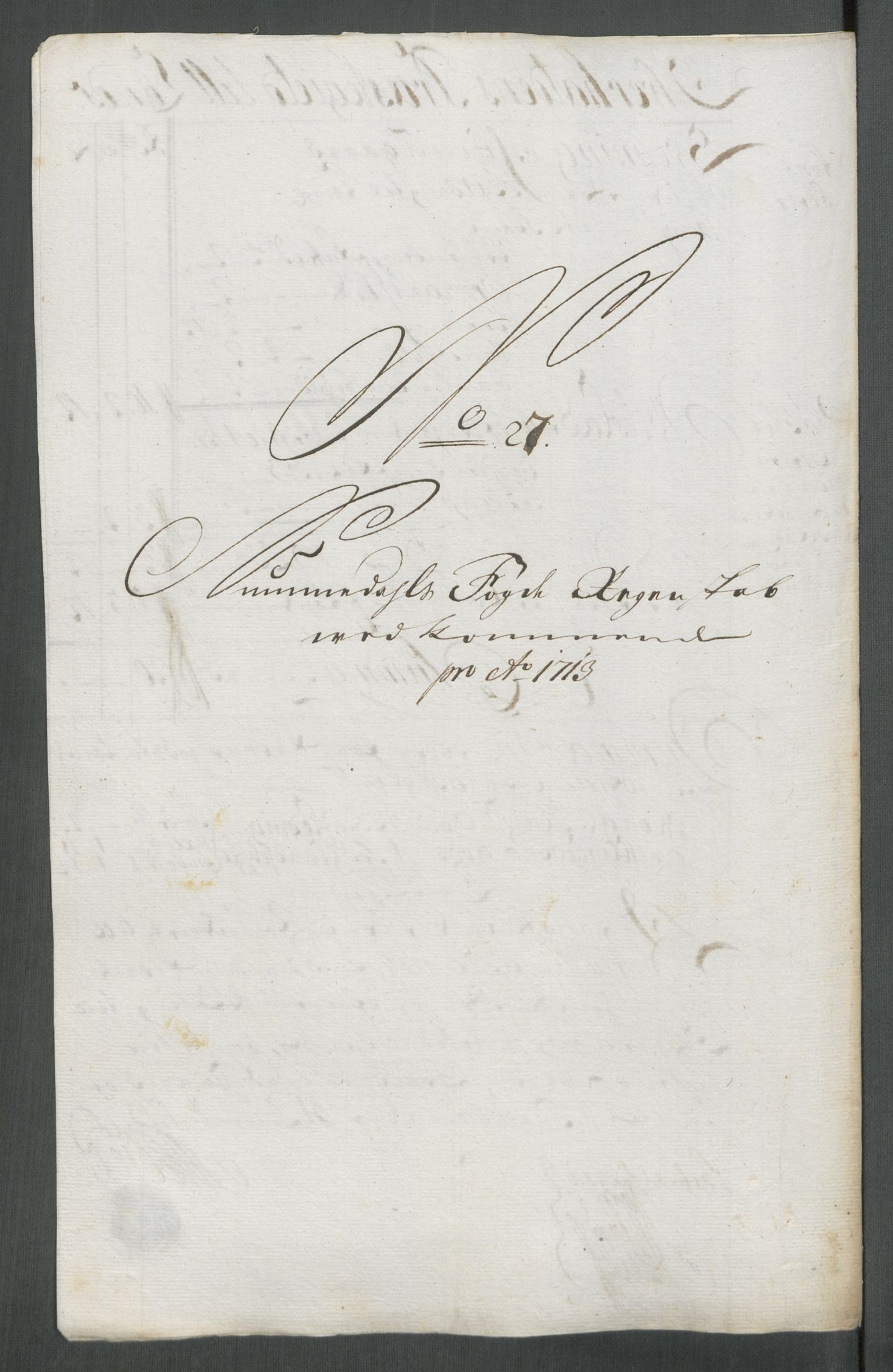 Rentekammeret inntil 1814, Reviderte regnskaper, Fogderegnskap, AV/RA-EA-4092/R64/L4434: Fogderegnskap Namdal, 1713, p. 204