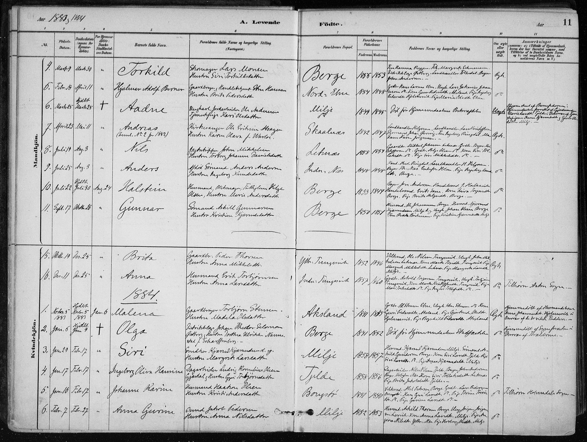 Skånevik sokneprestembete, AV/SAB-A-77801/H/Haa: Parish register (official) no. B 1, 1879-1914, p. 11