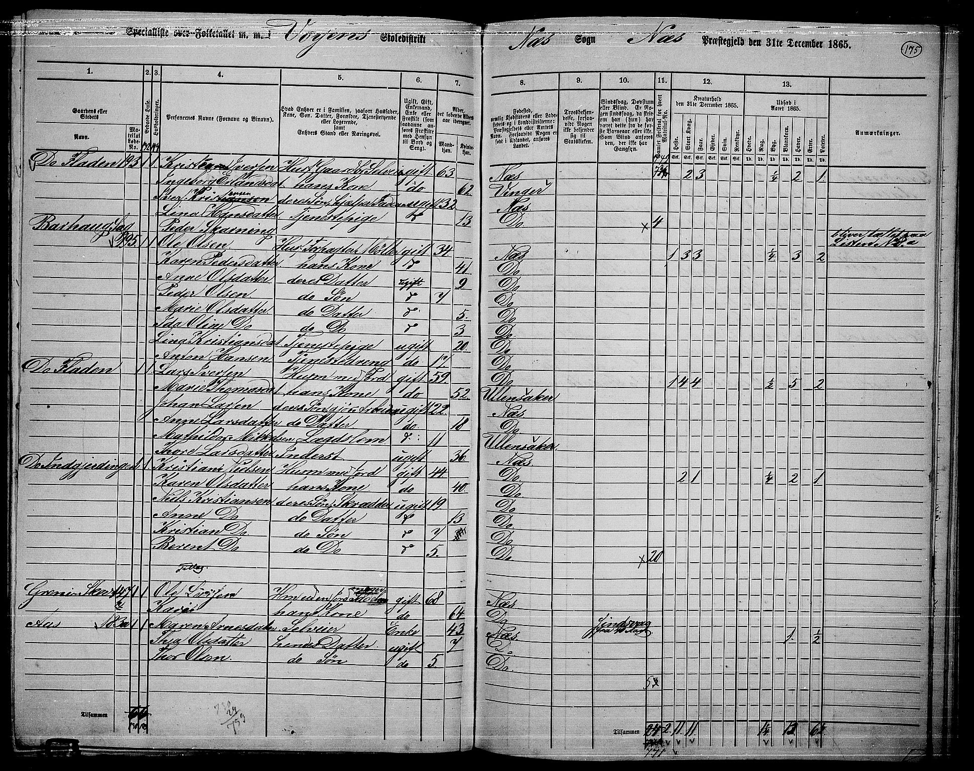 RA, 1865 census for Nes, 1865, p. 161