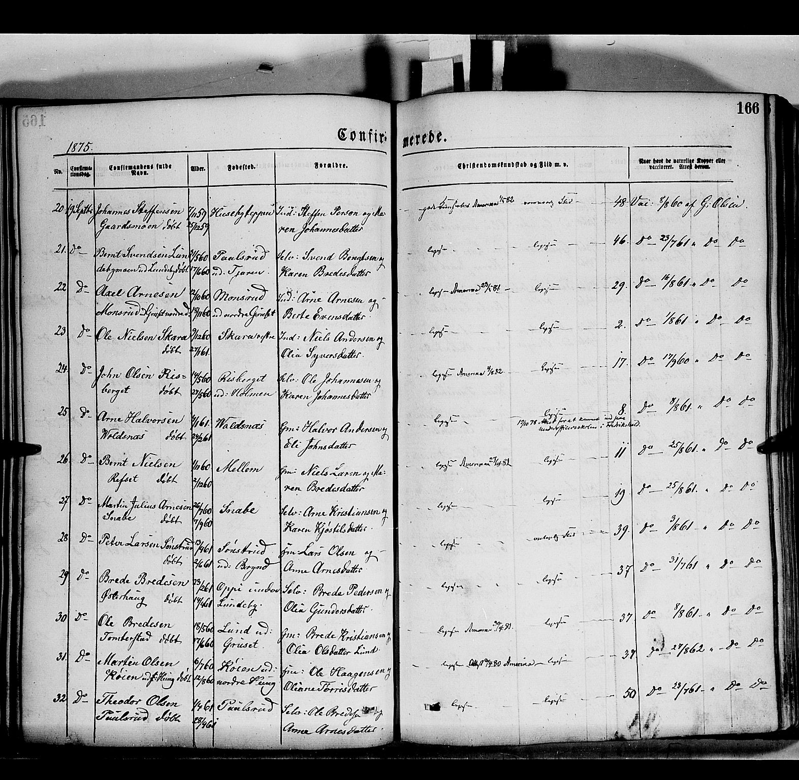 Grue prestekontor, AV/SAH-PREST-036/H/Ha/Haa/L0011: Parish register (official) no. 11, 1873-1880, p. 166