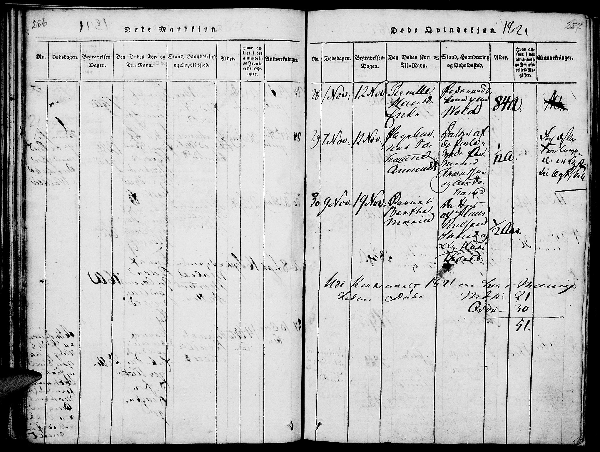 Nes prestekontor, Hedmark, AV/SAH-PREST-020/K/Ka/L0002: Parish register (official) no. 2, 1813-1827, p. 256-257