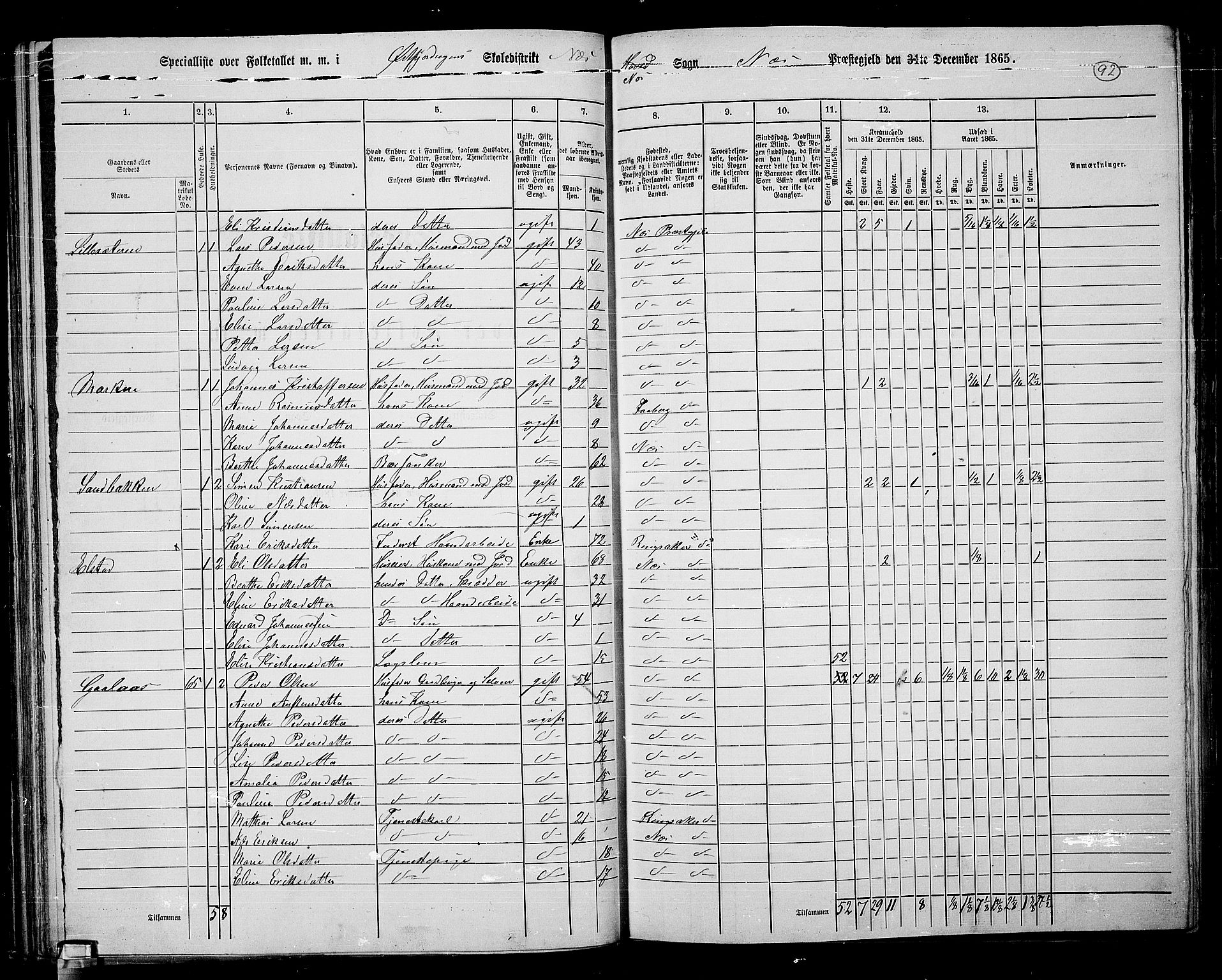 RA, 1865 census for Nes, 1865, p. 80