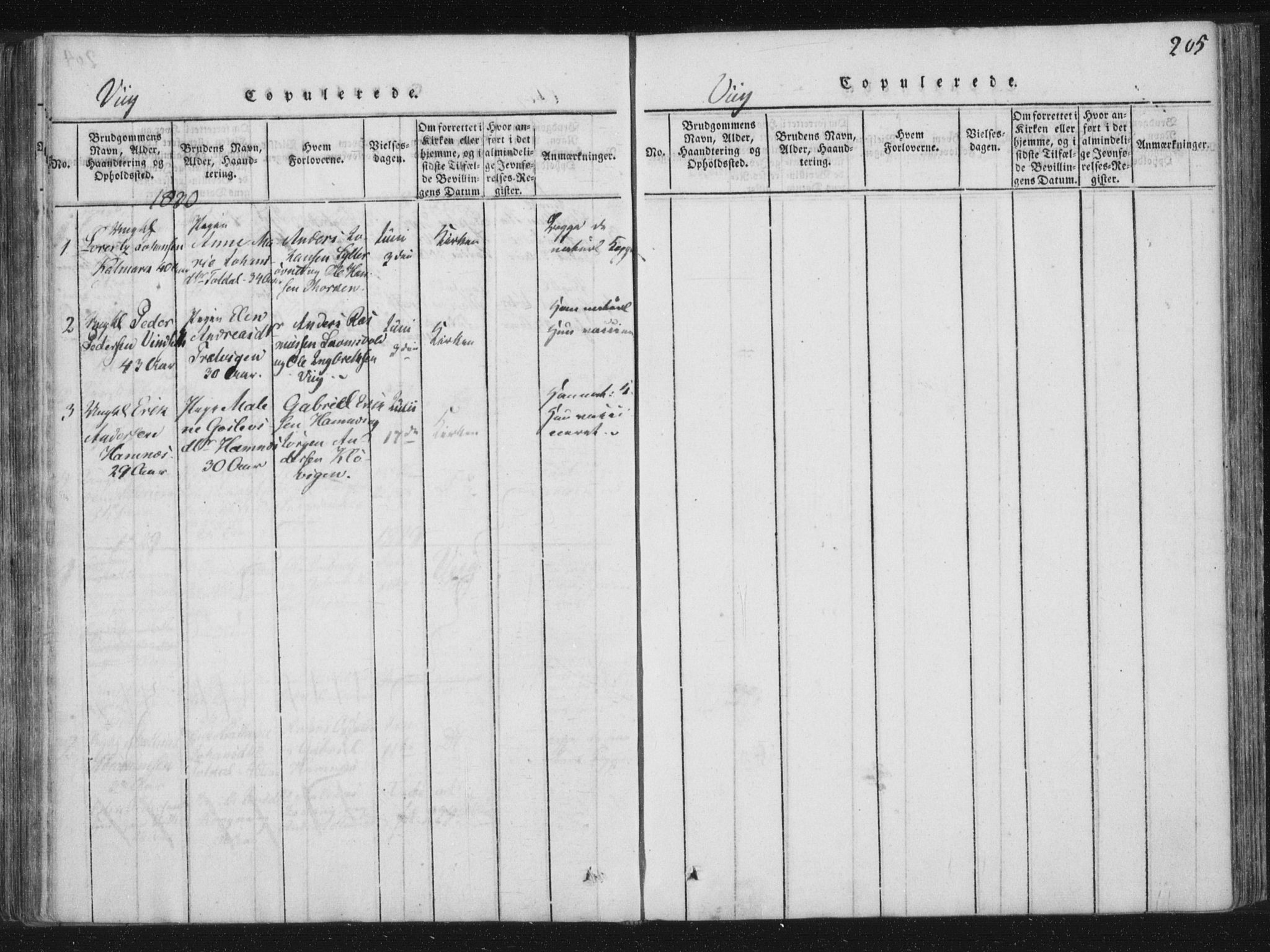 Ministerialprotokoller, klokkerbøker og fødselsregistre - Nord-Trøndelag, SAT/A-1458/773/L0609: Parish register (official) no. 773A03 /2, 1815-1830, p. 205
