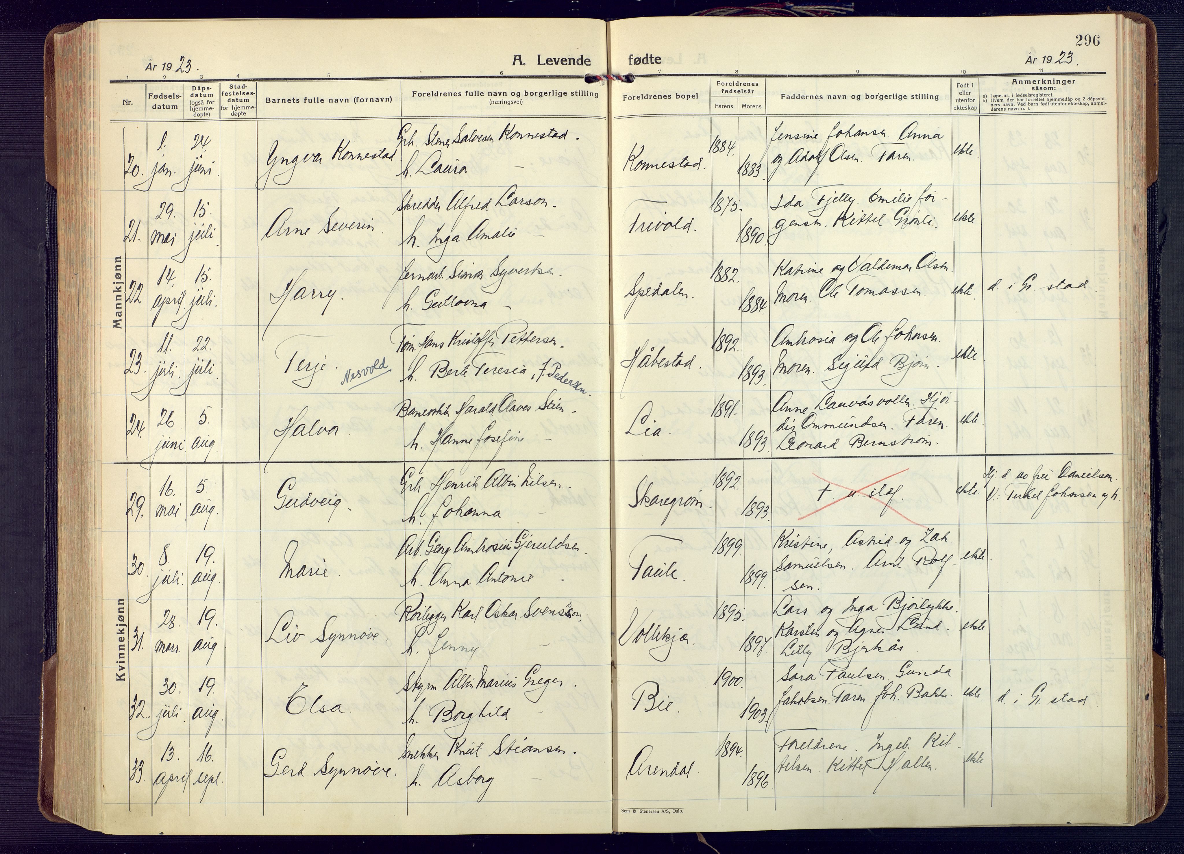 Fjære sokneprestkontor, AV/SAK-1111-0011/F/Fa/L0004: Parish register (official) no. A 4, 1902-1925, p. 296