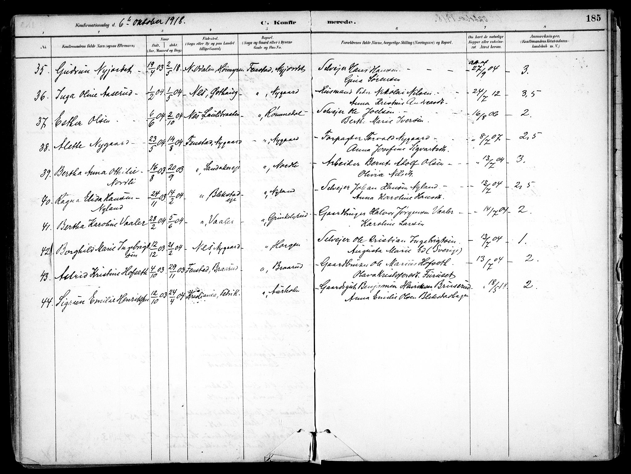 Nes prestekontor Kirkebøker, SAO/A-10410/F/Fb/L0002: Parish register (official) no. II 2, 1883-1918, p. 185