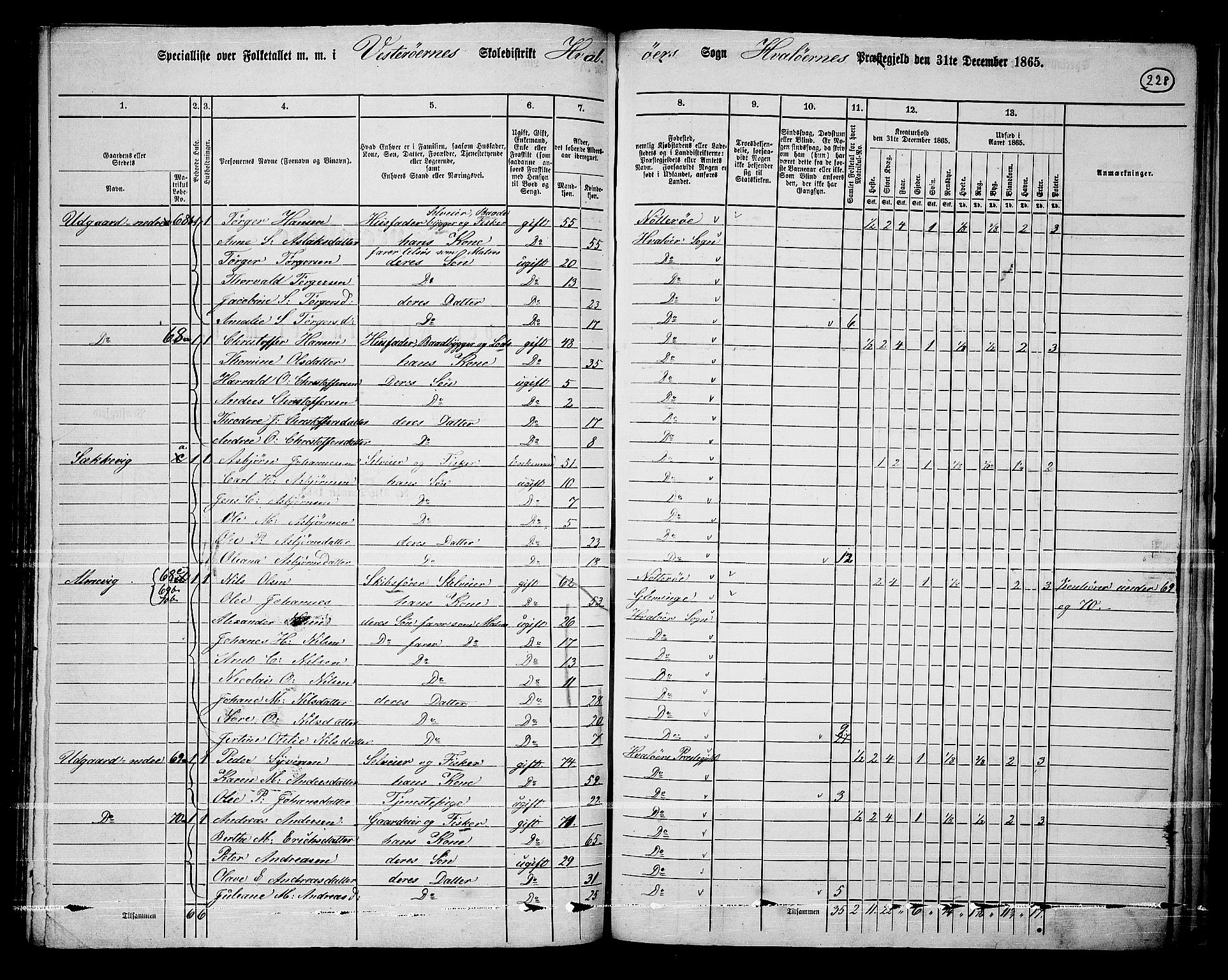 RA, 1865 census for Hvaler, 1865, p. 62