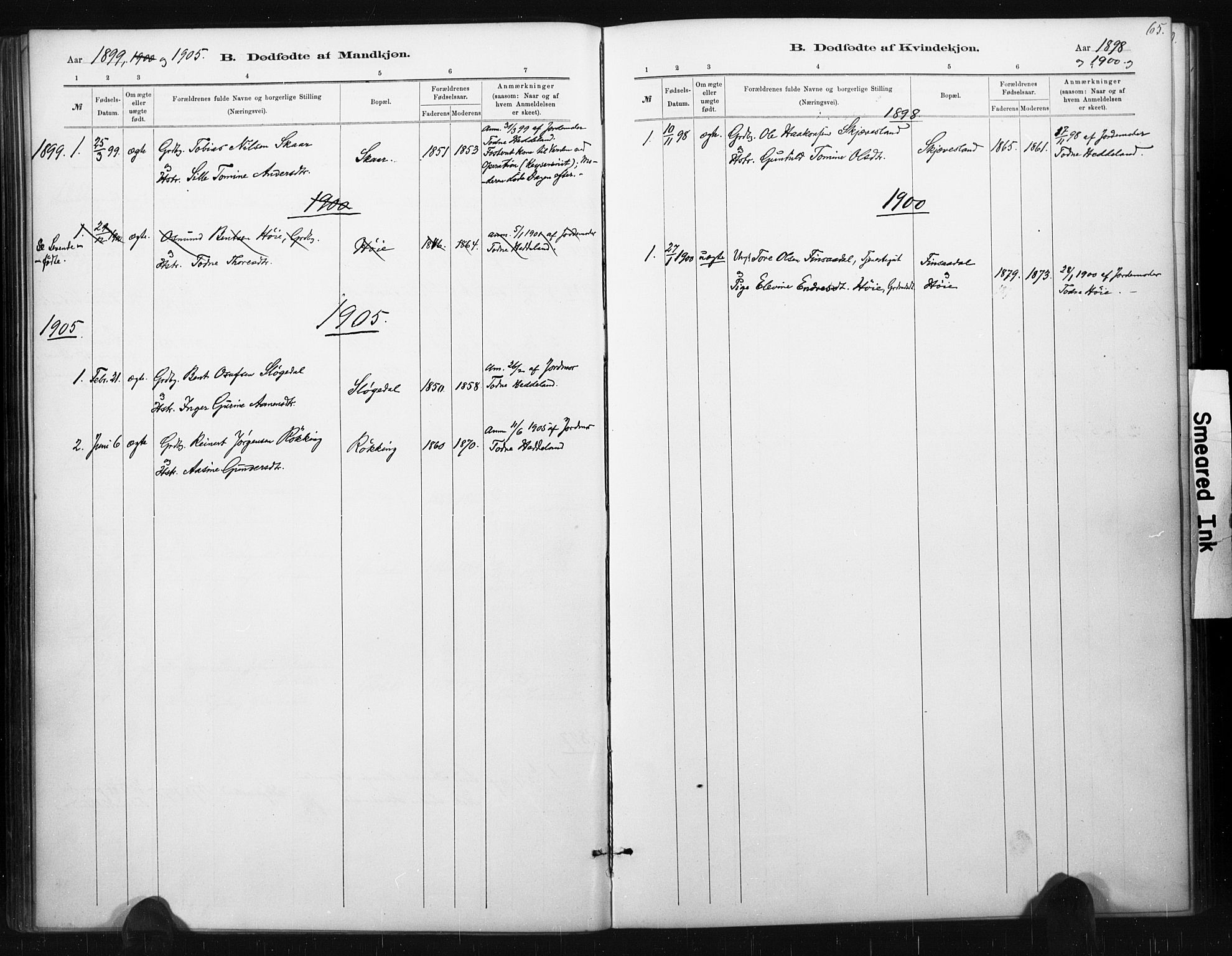 Holum sokneprestkontor, AV/SAK-1111-0022/F/Fa/Fac/L0004: Parish register (official) no. A 4, 1884-1907, p. 65