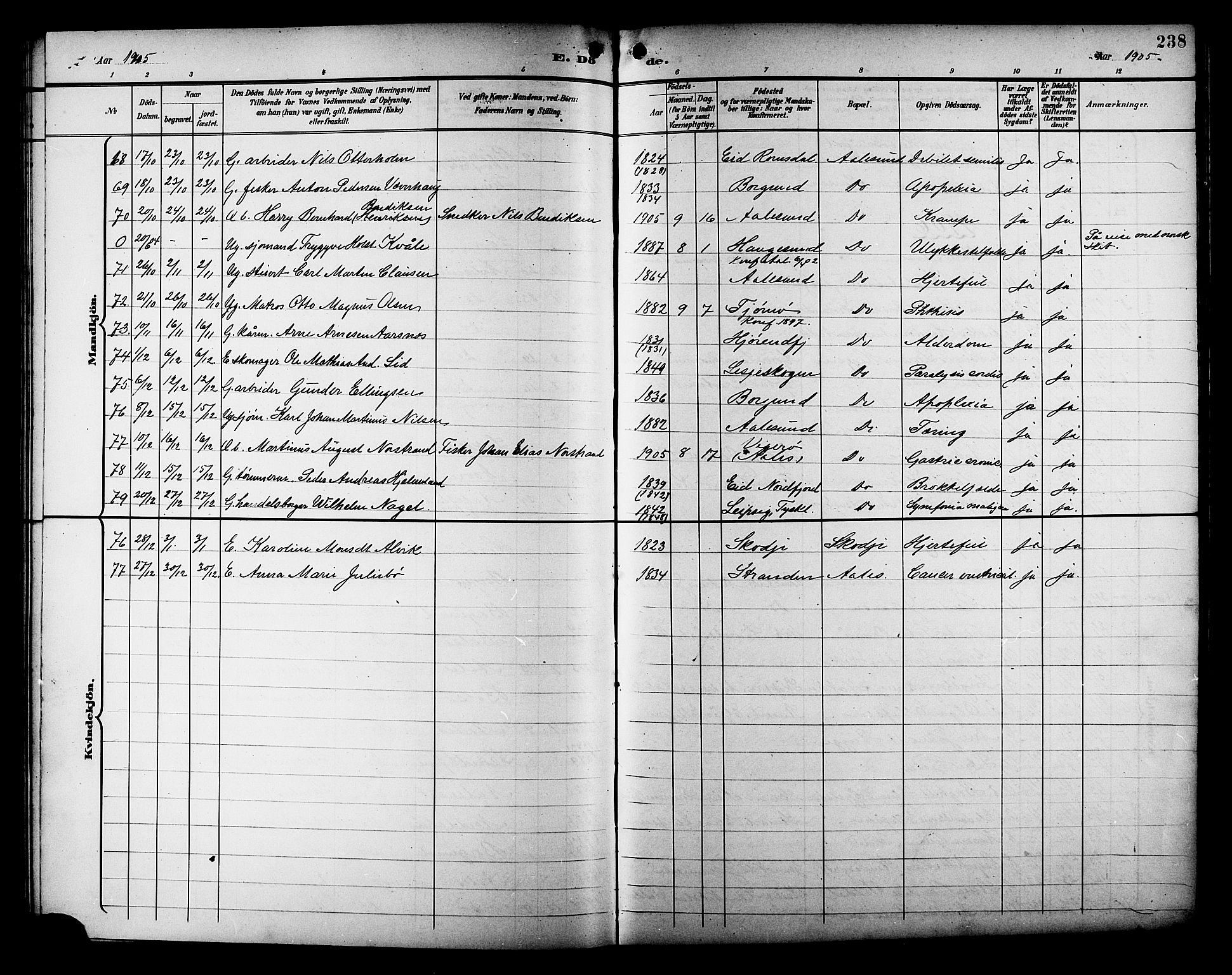 Ministerialprotokoller, klokkerbøker og fødselsregistre - Møre og Romsdal, AV/SAT-A-1454/529/L0469: Parish register (copy) no. 529C06, 1898-1906, p. 238