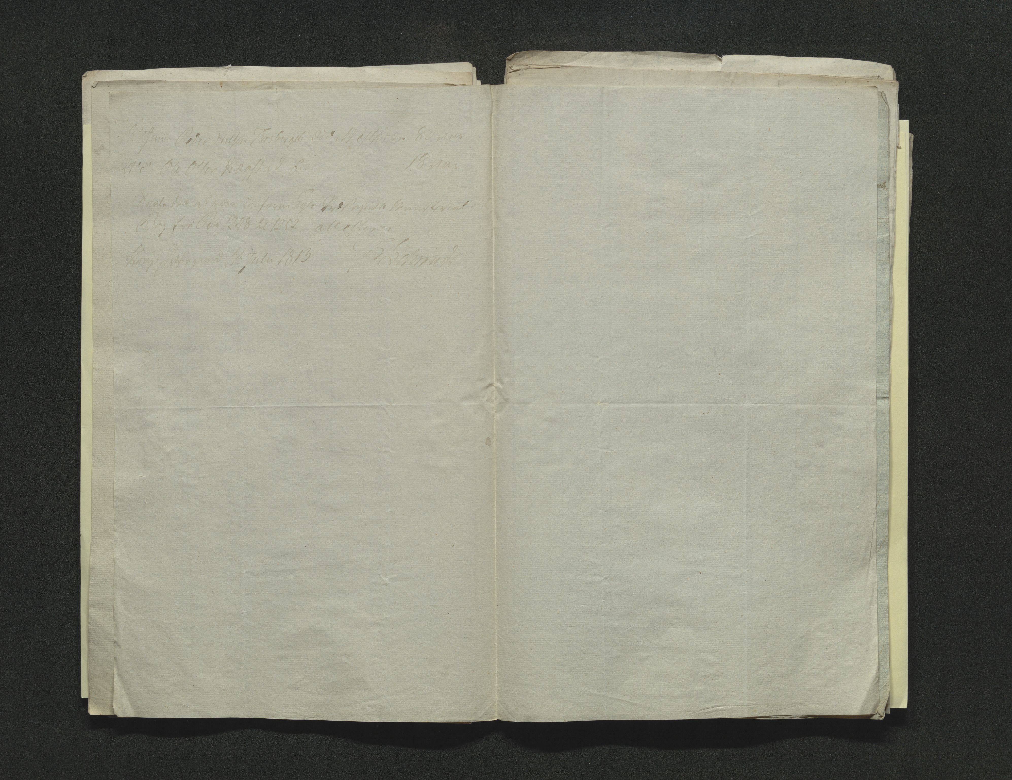 Eiker, Modum og Sigdal sorenskriveri, AV/SAKO-A-123/H/Ha/Hab/L0001: Dødsfallsmeldinger, 1812-1822, p. 15