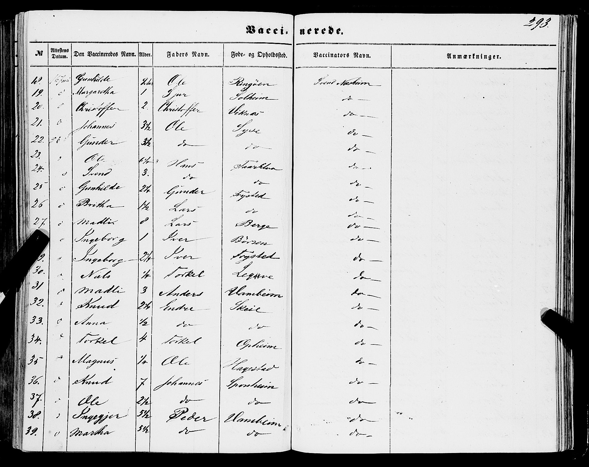 Ulvik sokneprestembete, AV/SAB-A-78801/H/Haa: Parish register (official) no. A 13, 1853-1863, p. 293