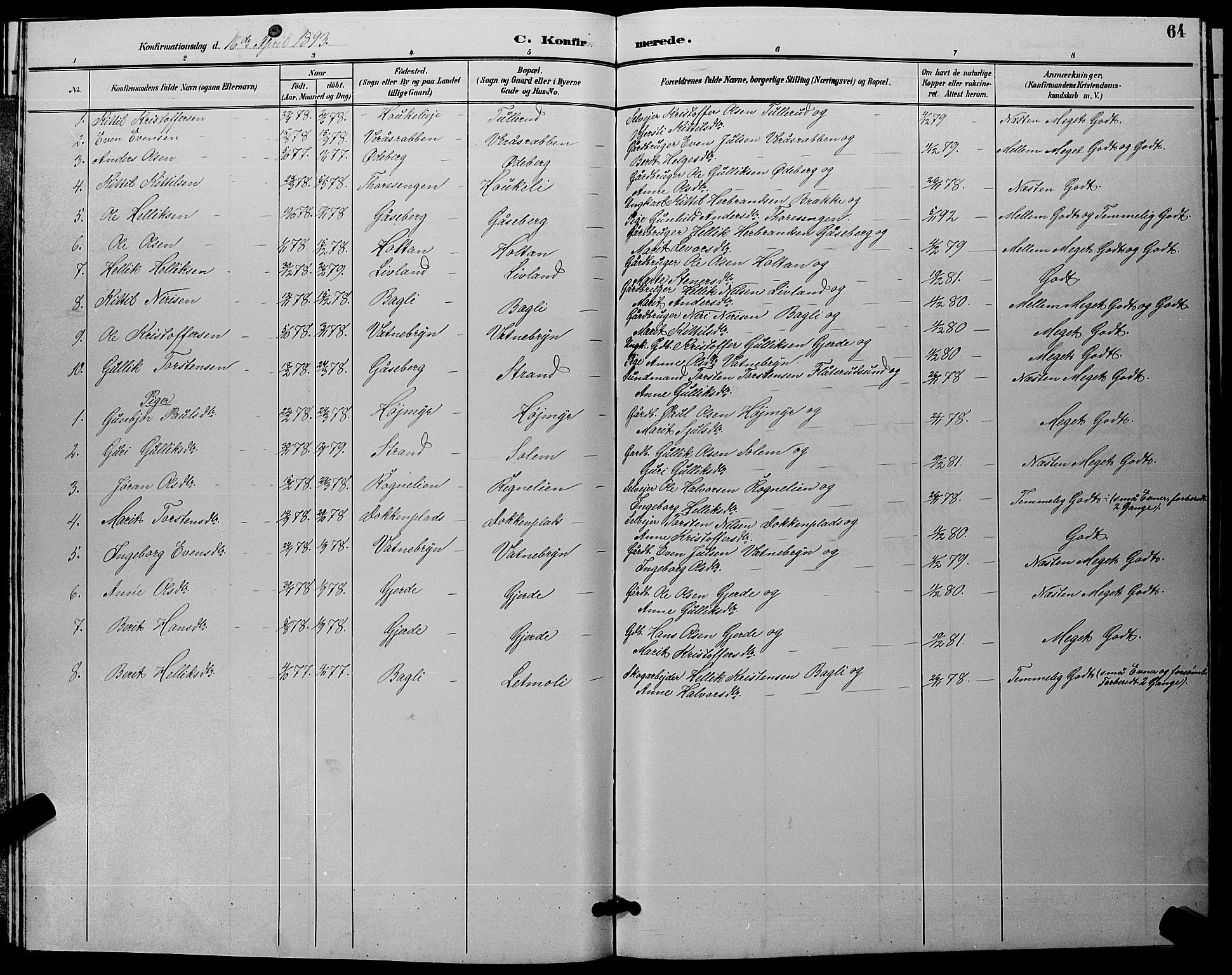 Flesberg kirkebøker, SAKO/A-18/G/Ga/L0004: Parish register (copy) no. I 4 /1, 1890-1898, p. 64