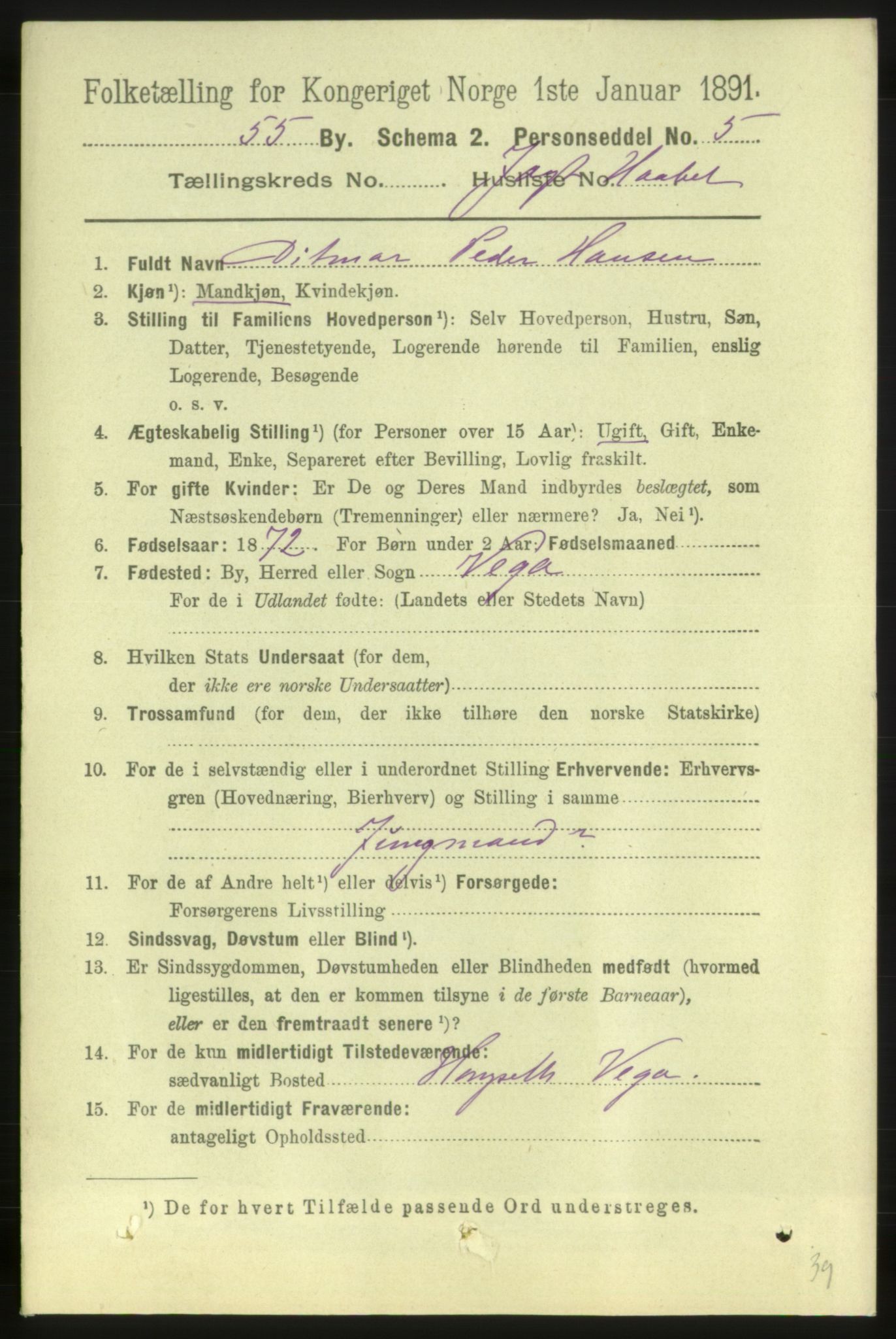 RA, 1891 census for 1703 Namsos, 1891, p. 1950