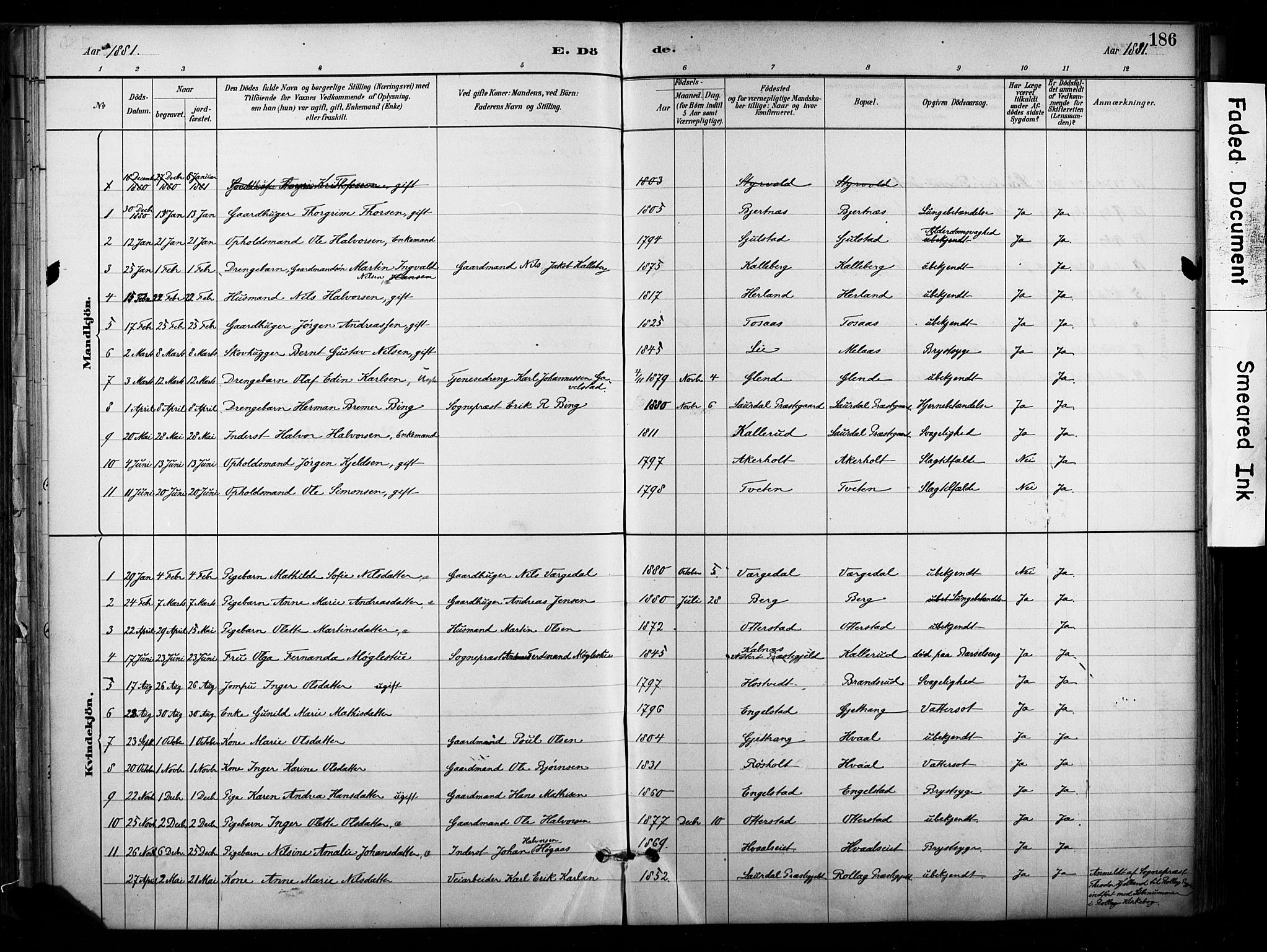 Lardal kirkebøker, AV/SAKO-A-350/F/Fb/L0001: Parish register (official) no. II 1, 1881-1911, p. 186