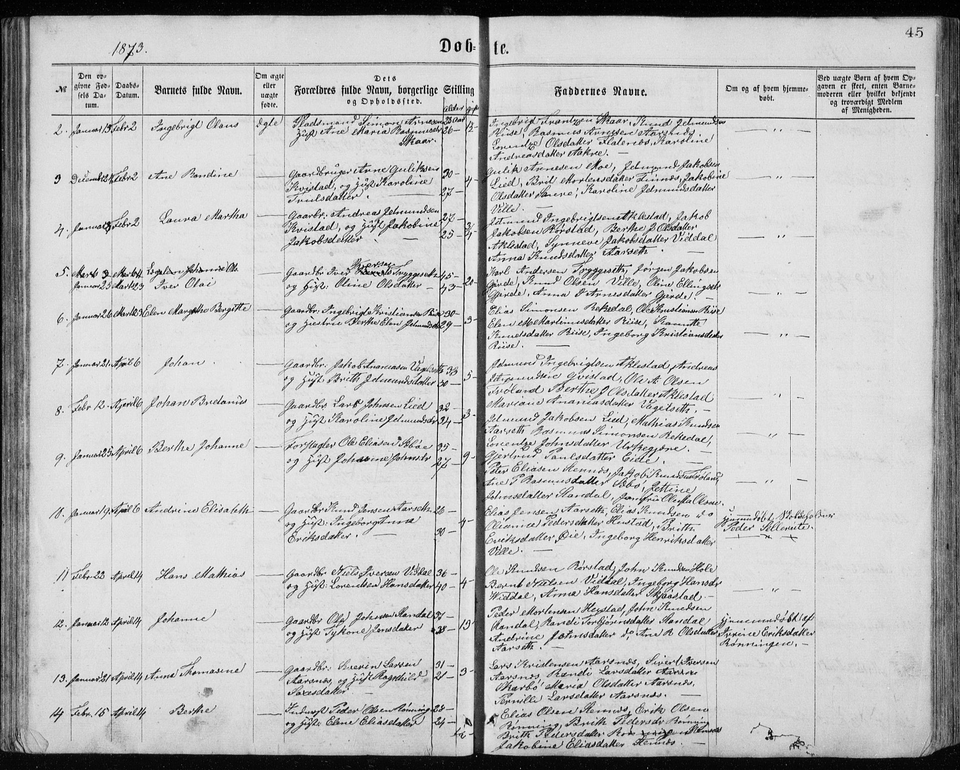 Ministerialprotokoller, klokkerbøker og fødselsregistre - Møre og Romsdal, AV/SAT-A-1454/515/L0214: Parish register (copy) no. 515C01, 1865-1883, p. 45