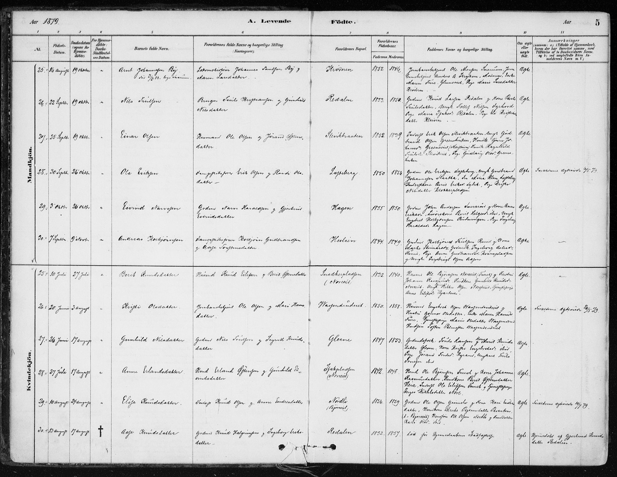 Krødsherad kirkebøker, SAKO/A-19/F/Fa/L0005: Parish register (official) no. 5, 1879-1888, p. 5