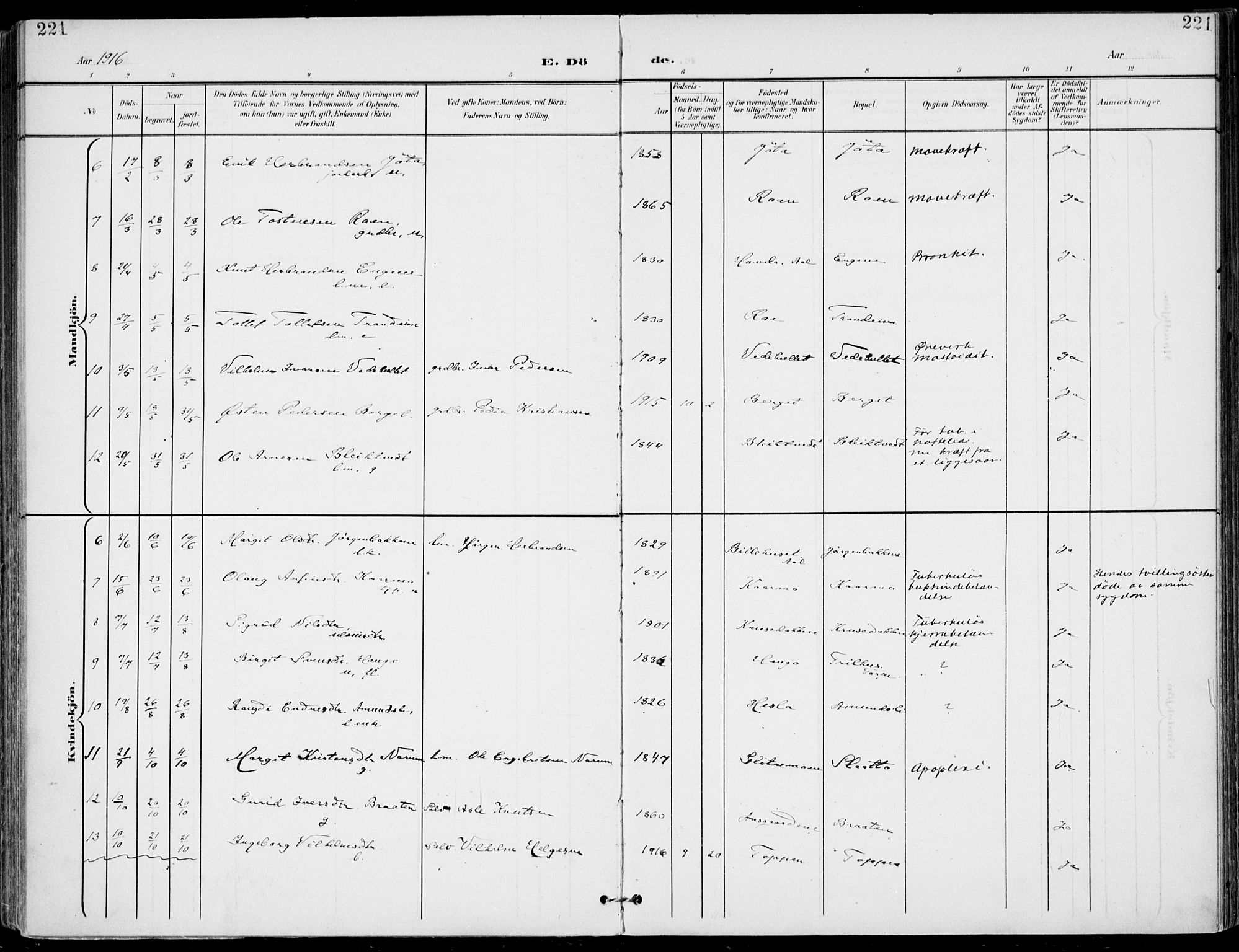 Gol kirkebøker, SAKO/A-226/F/Fa/L0006: Parish register (official) no. I 6, 1901-1918, p. 221
