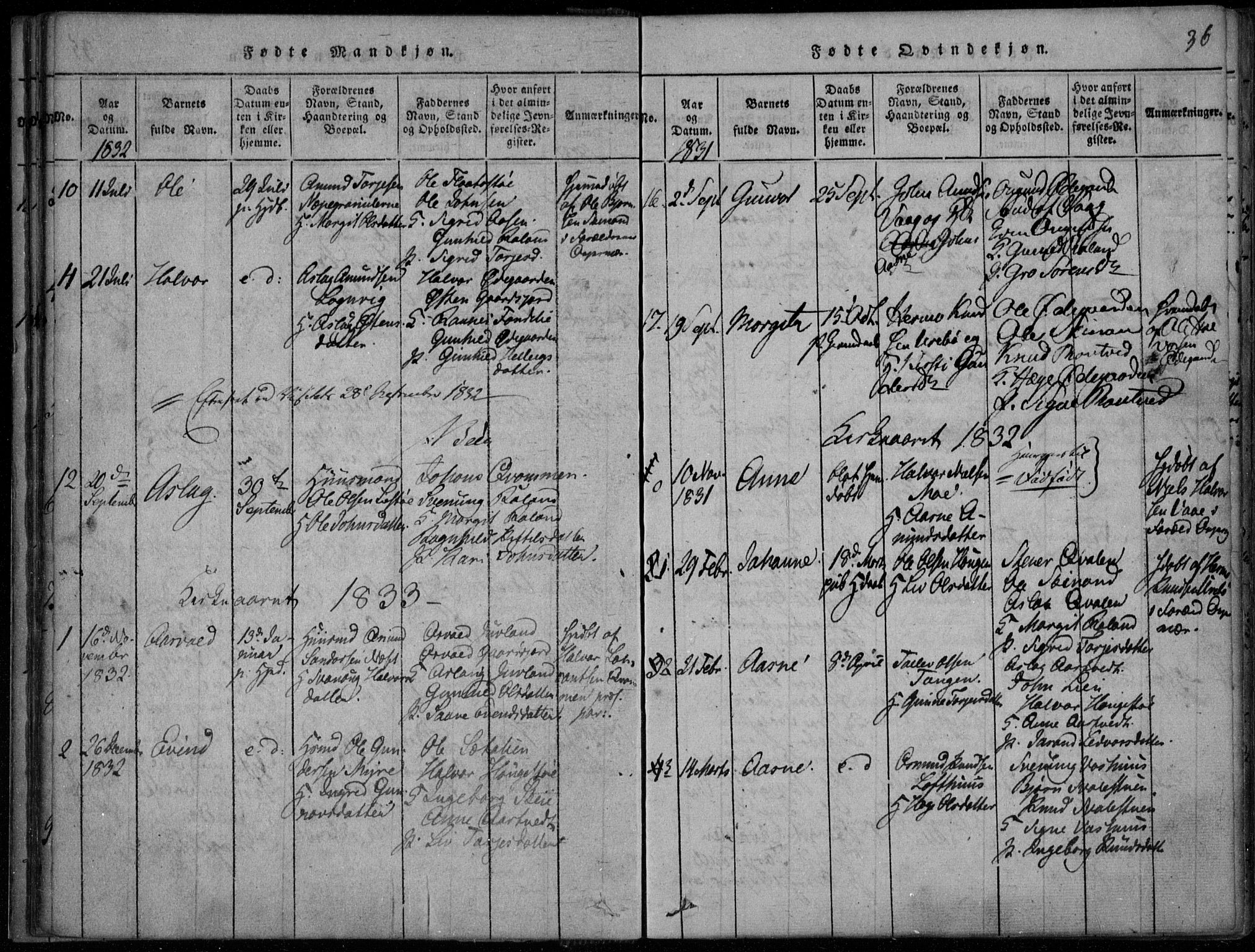 Rauland kirkebøker, AV/SAKO-A-292/F/Fa/L0001: Parish register (official) no. I 1, 1814-1859, p. 36