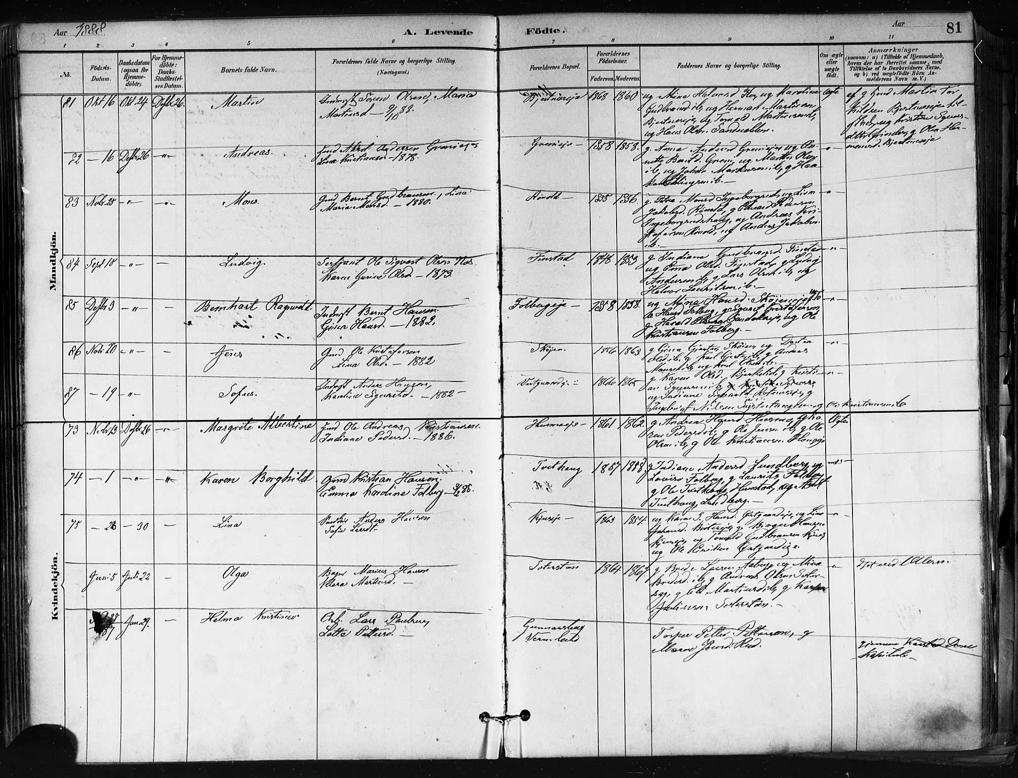 Nes prestekontor Kirkebøker, SAO/A-10410/F/Fa/L0010: Parish register (official) no. I 10, 1883-1898, p. 81