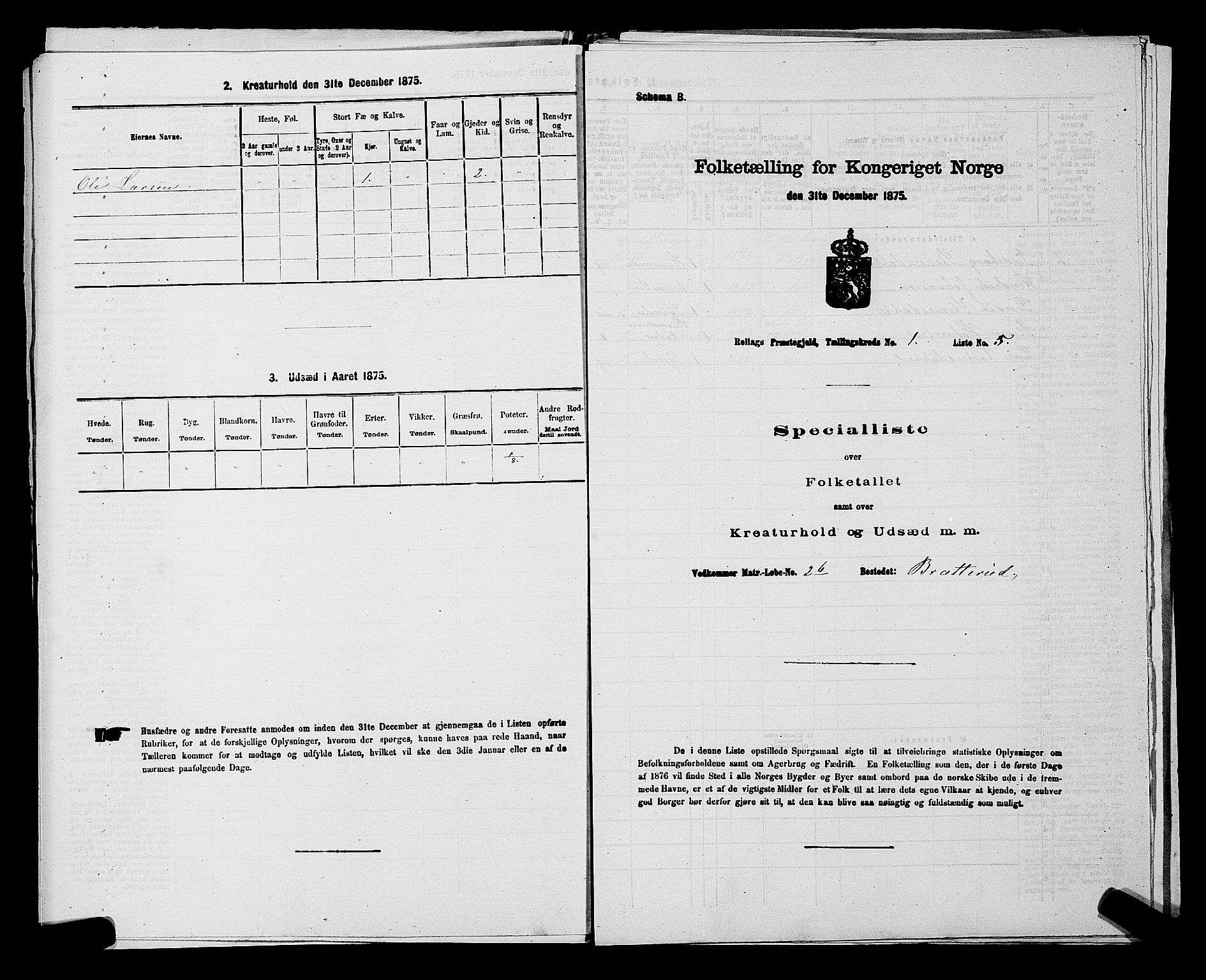 SAKO, 1875 census for 0632P Rollag, 1875, p. 51