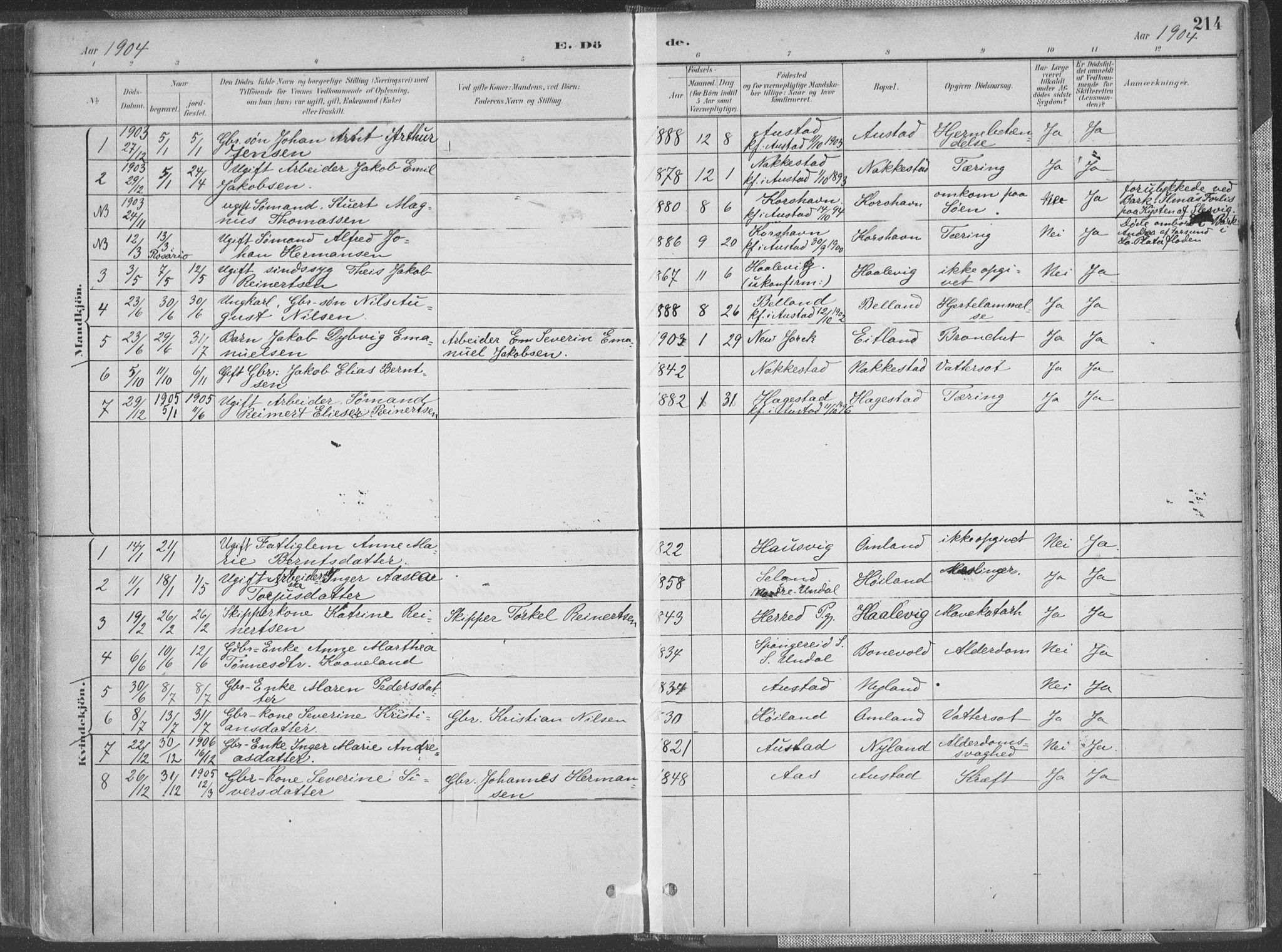 Lyngdal sokneprestkontor, SAK/1111-0029/F/Fa/Faa/L0004: Parish register (official) no. A 4, 1883-1904, p. 214