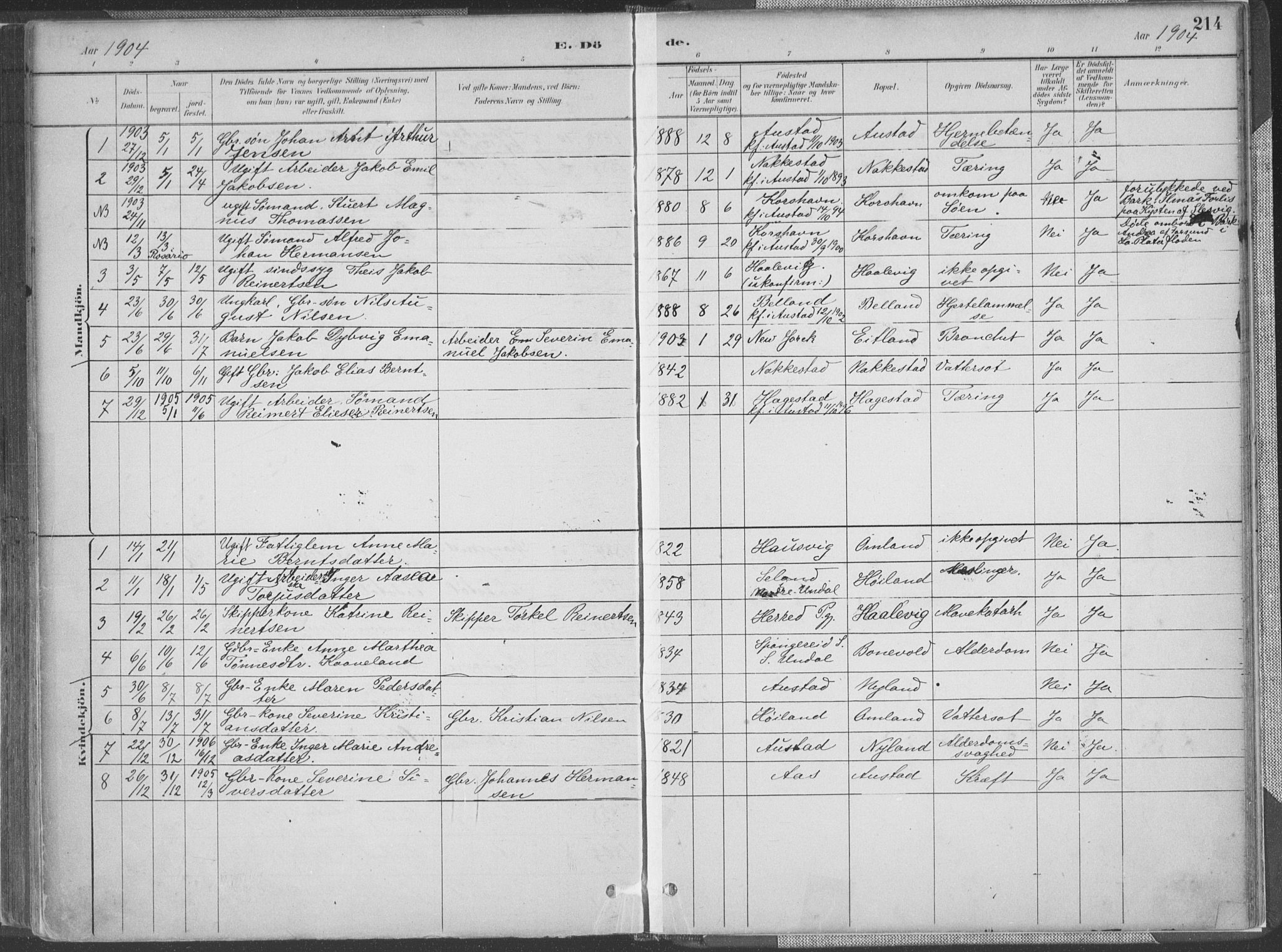 Lyngdal sokneprestkontor, AV/SAK-1111-0029/F/Fa/Faa/L0004: Parish register (official) no. A 4, 1883-1904, p. 214