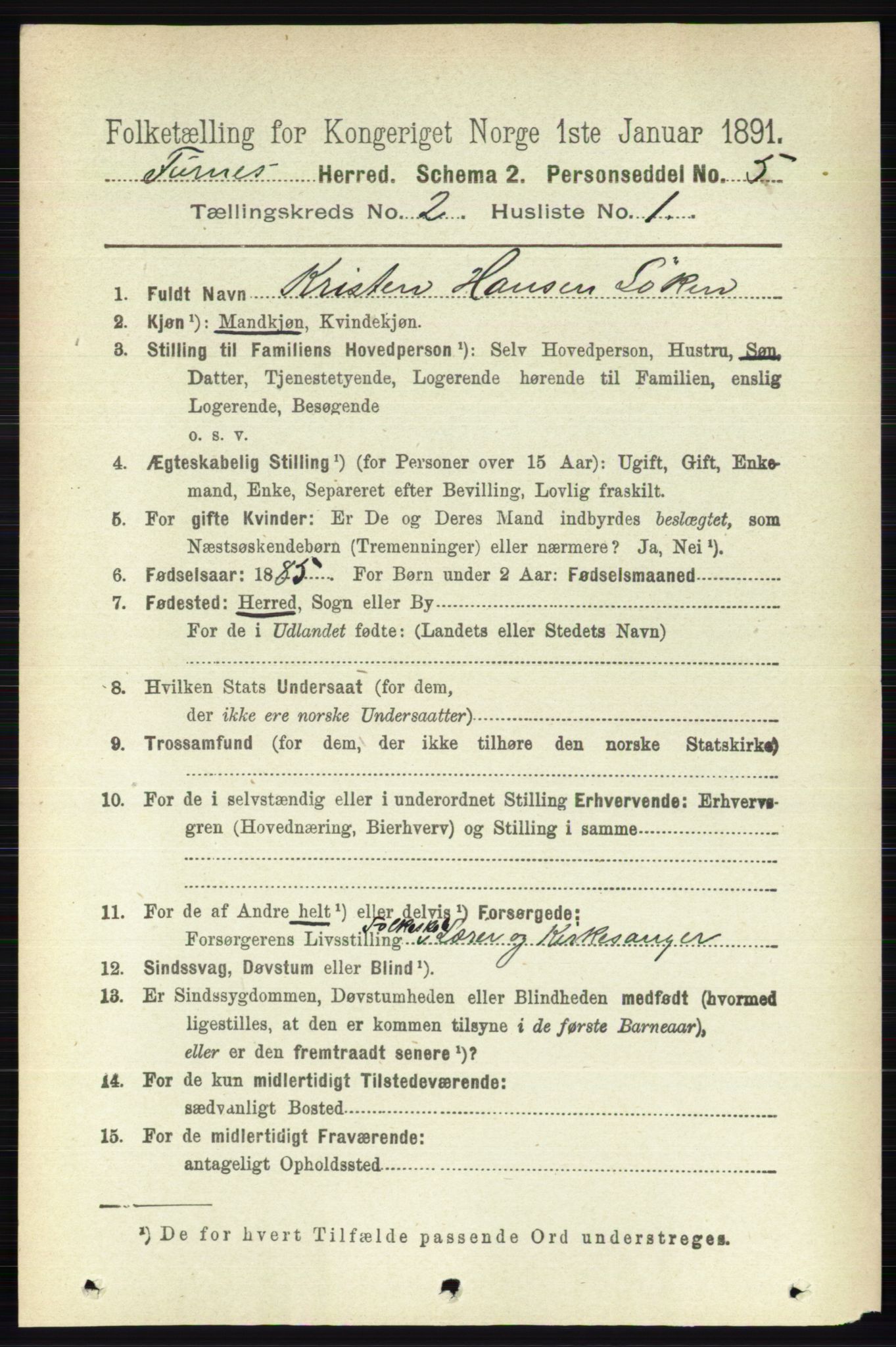 RA, Census 1891 for 0413 Furnes herred, 1891, p. 848